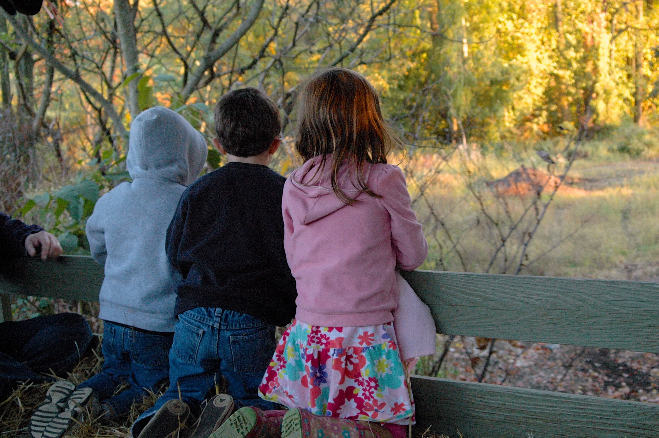 Annual Hayride Canceled