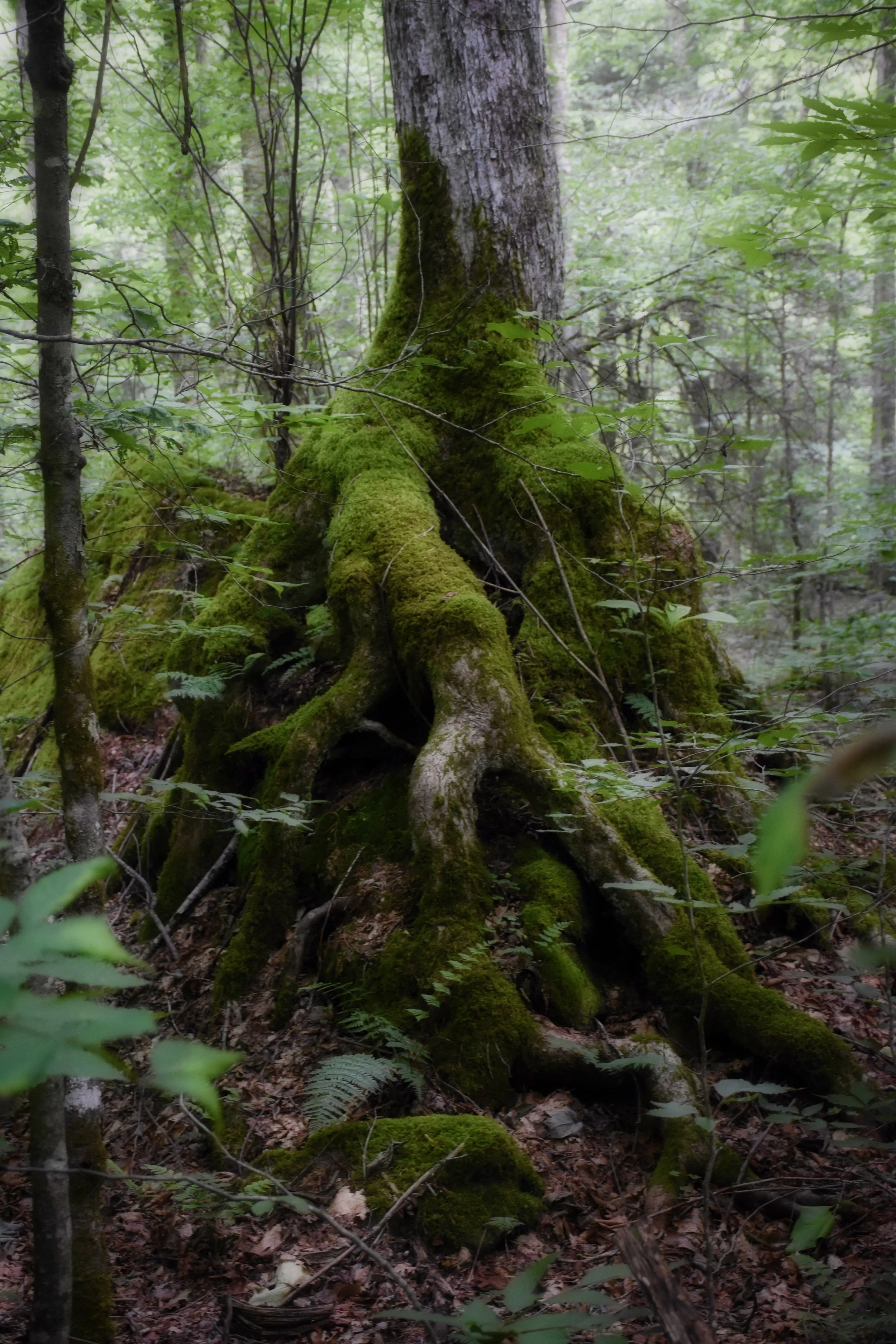 How good is your soil?