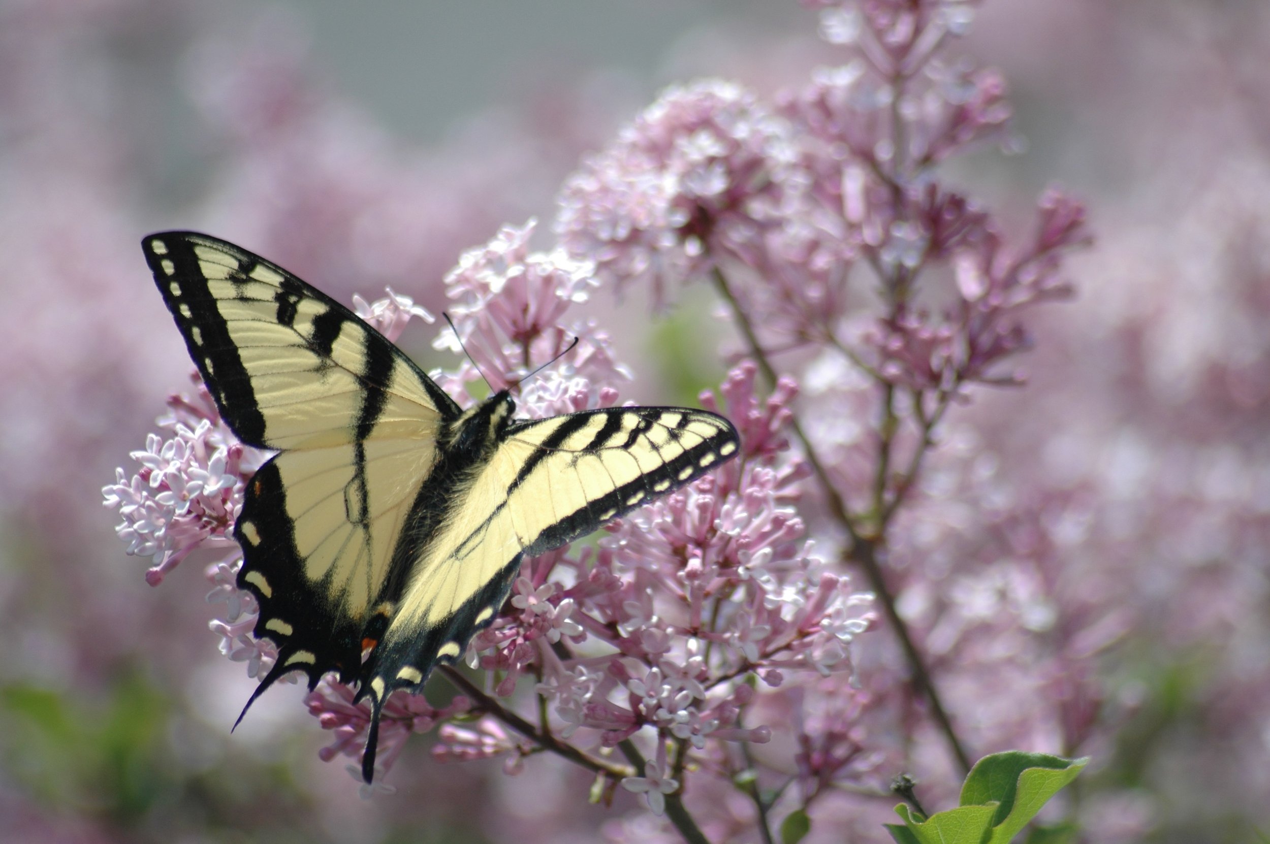 Stop dwelling on that!