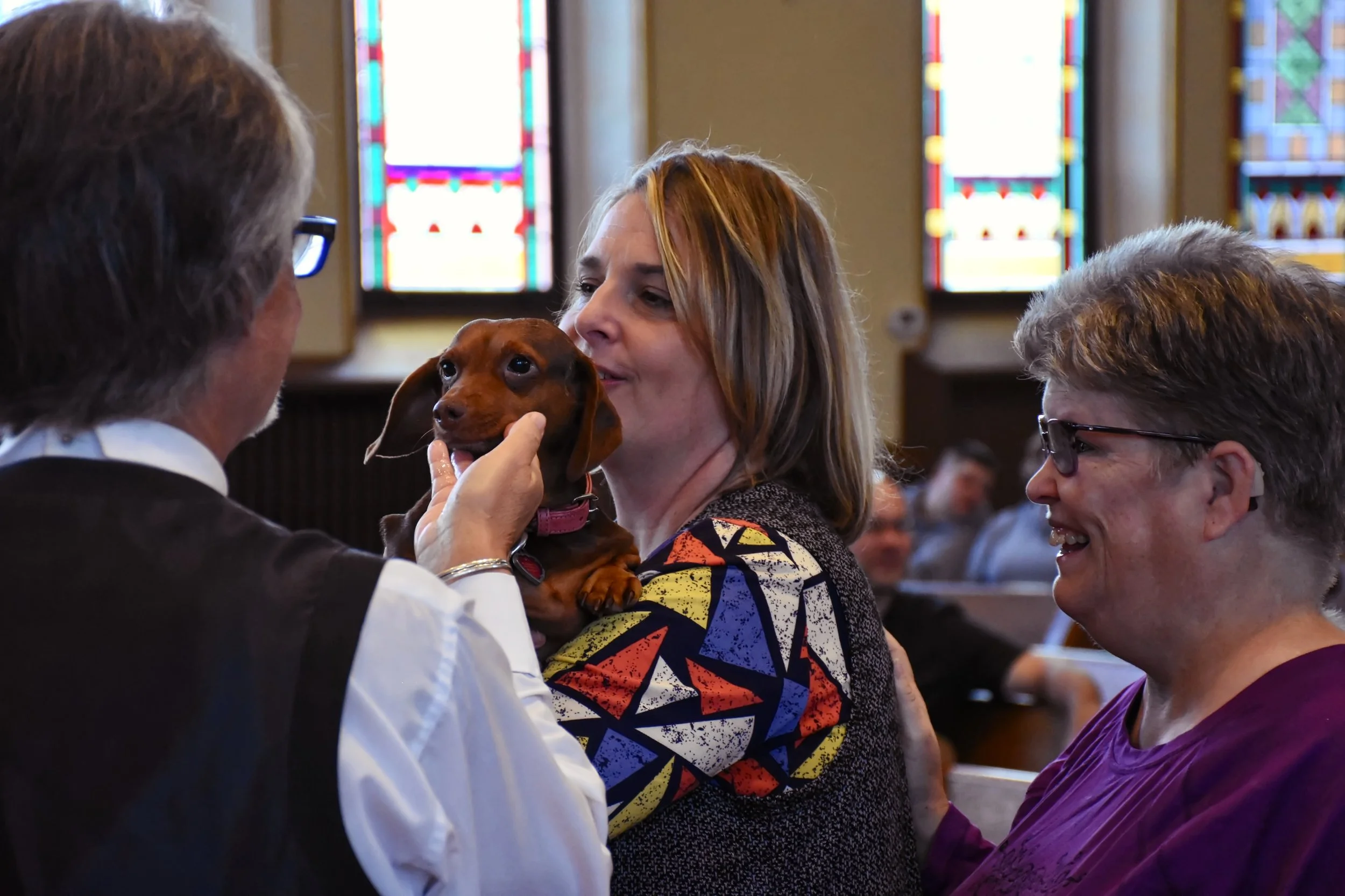 Blessing of the Animals