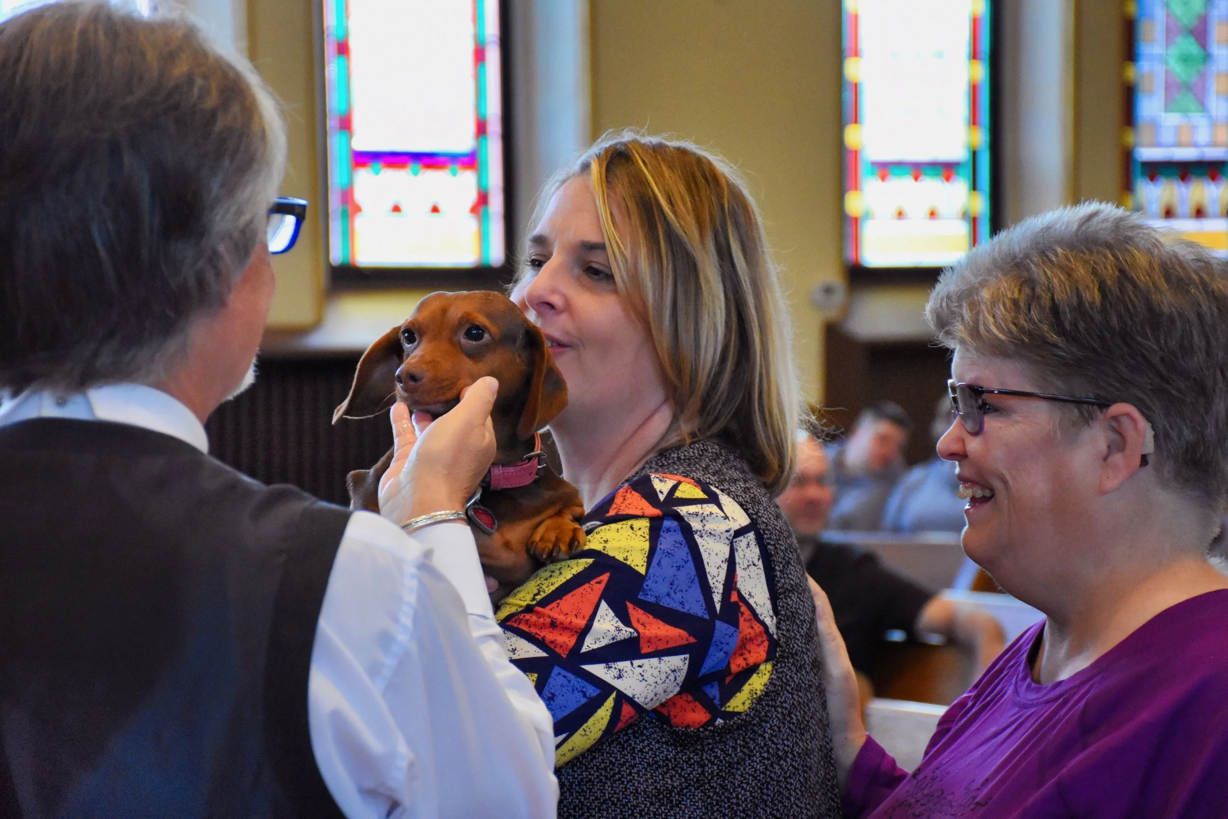 Blessing of the Animals