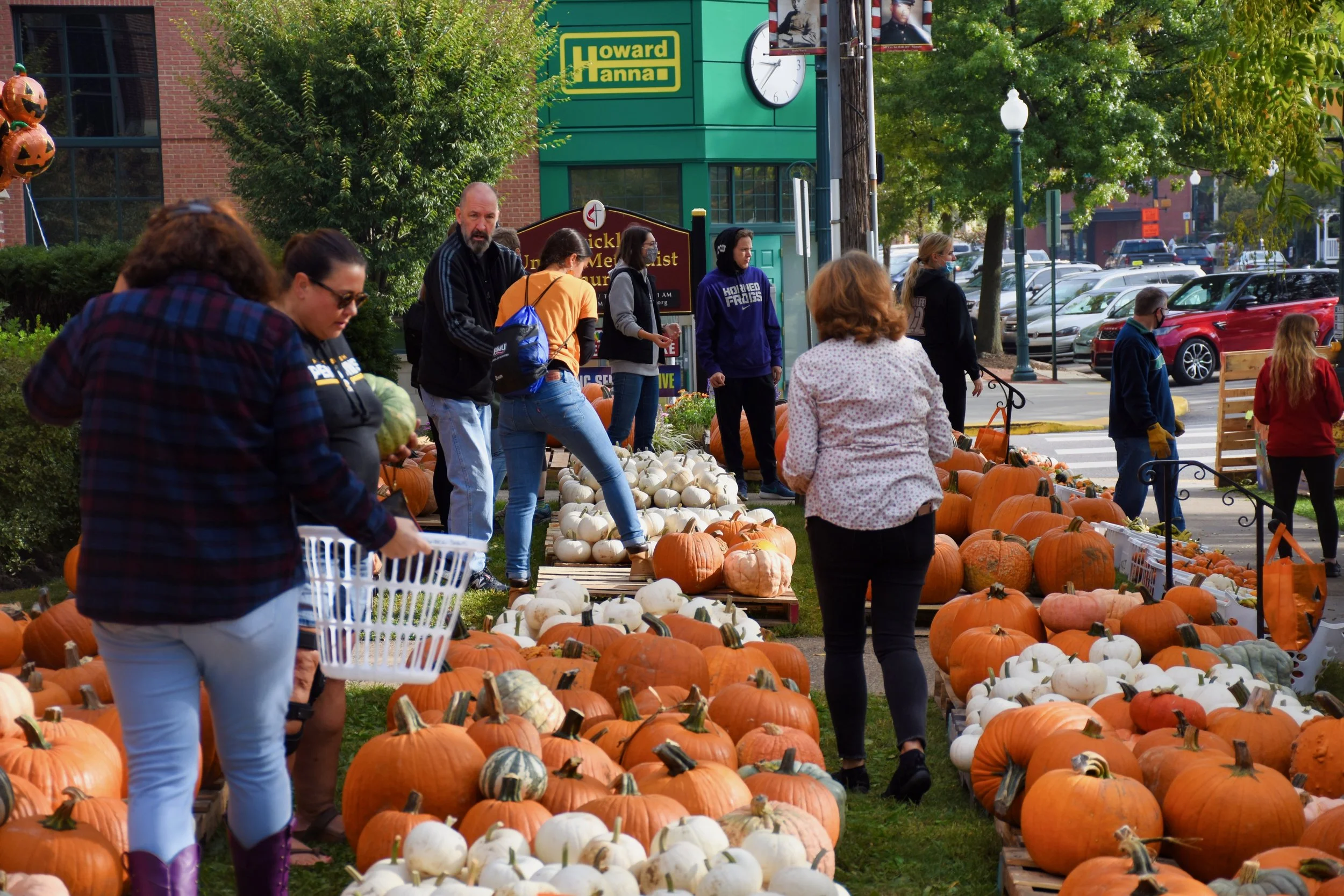 Did Someone Say Pumpkins?
