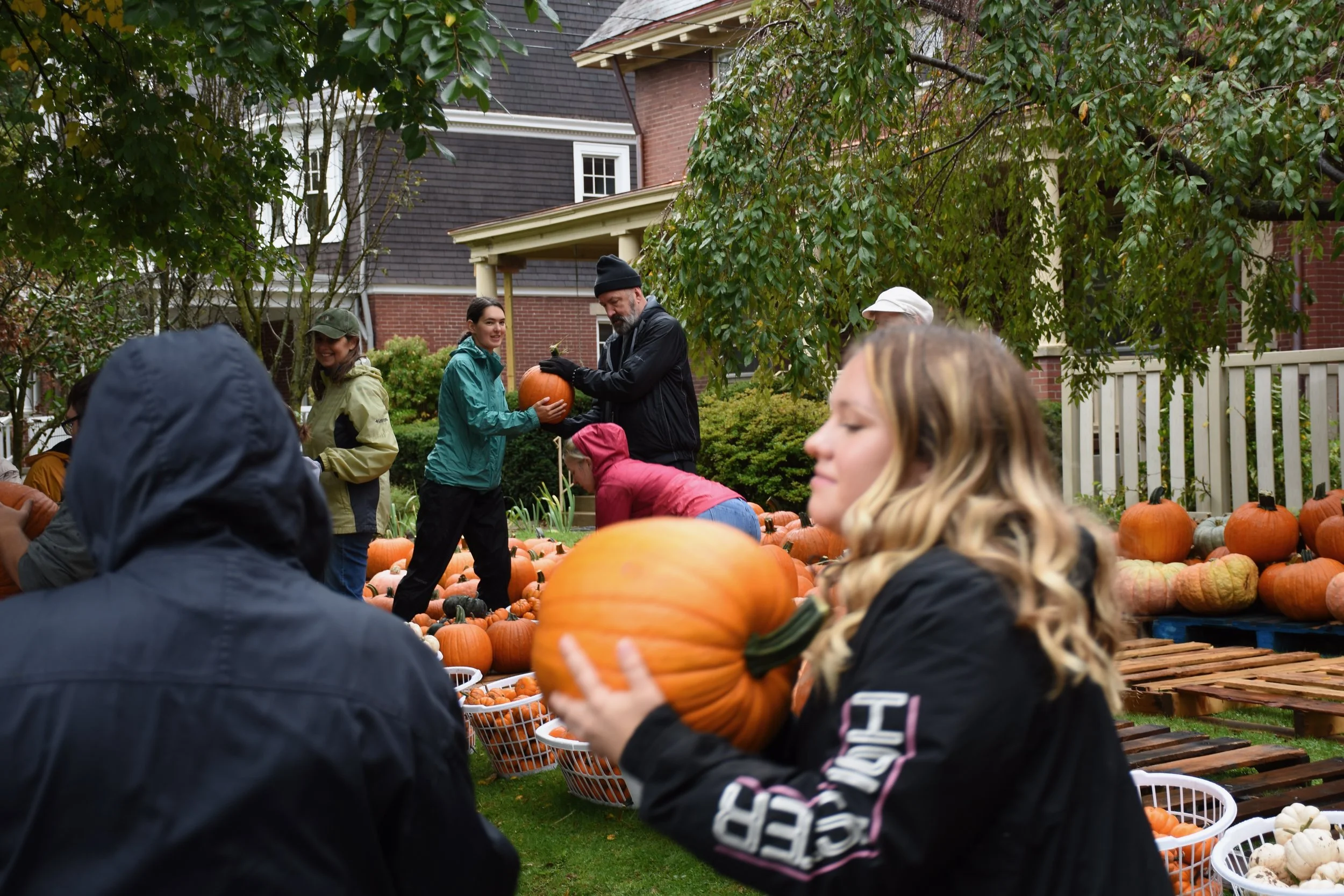 Pumpkin Patch Update
