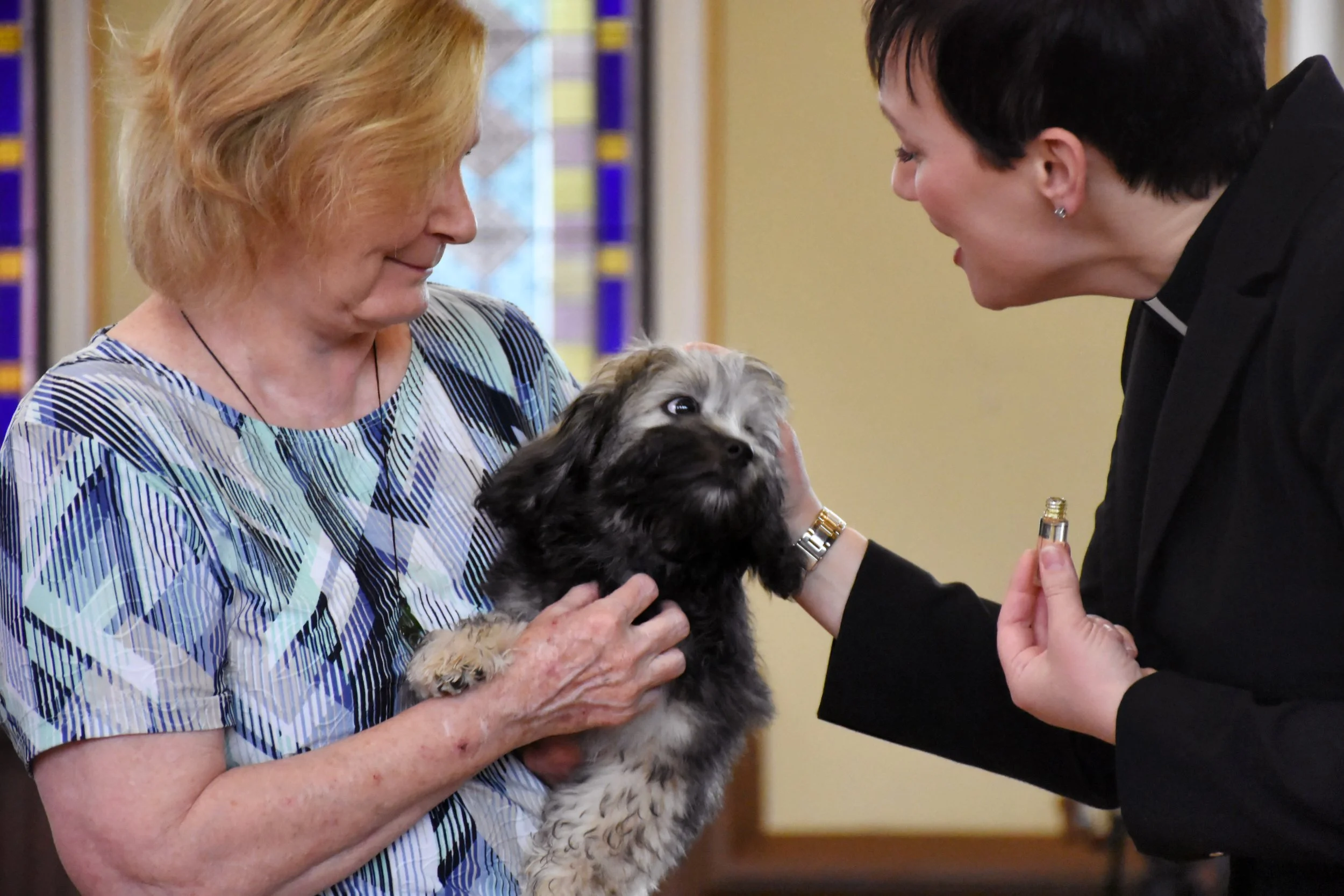 Blessing of the Animals