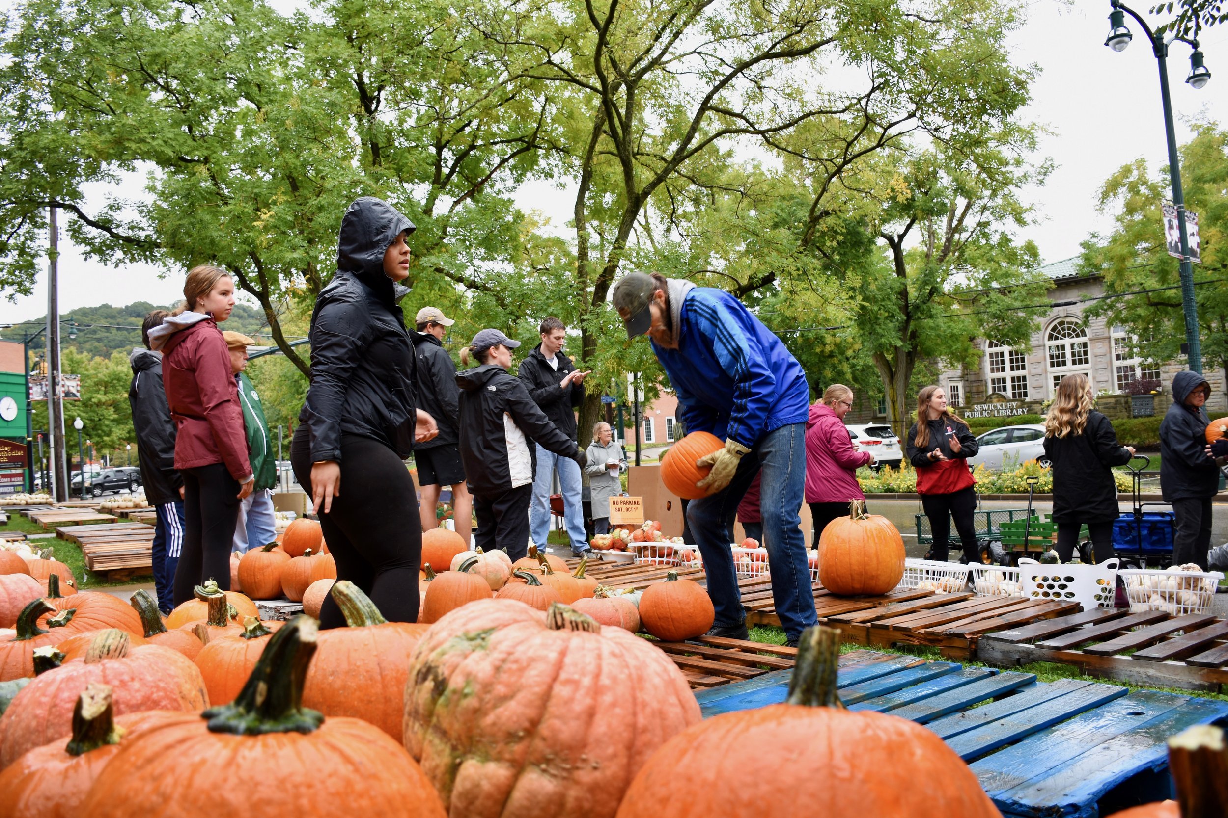 Here Come the Pumpkins for Our 22nd Year  