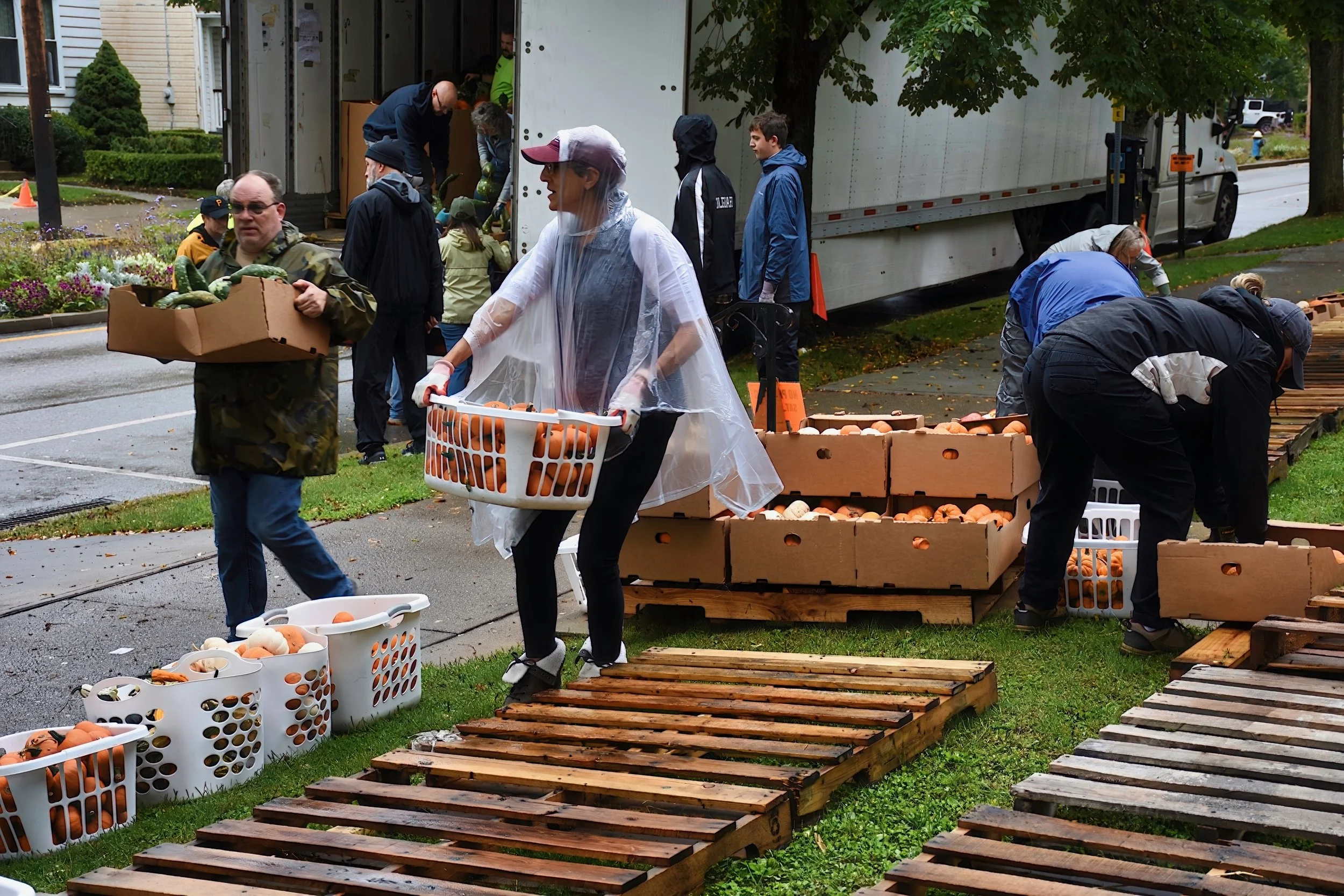 Pumpkin Patch Safety Alert