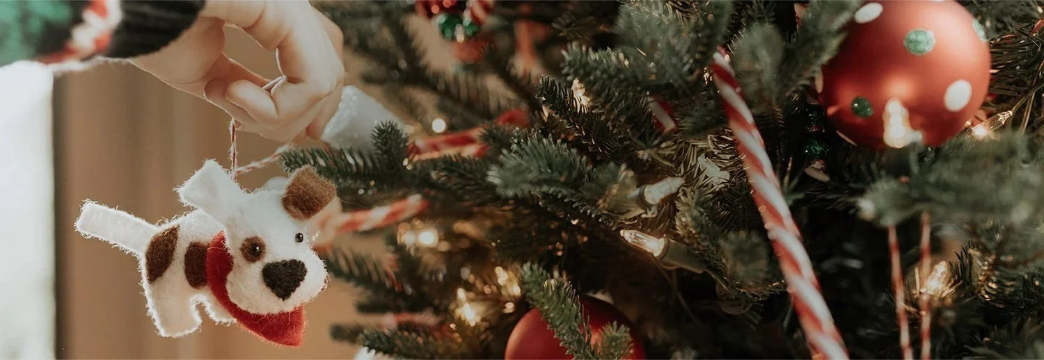 Ornaments for Orphans