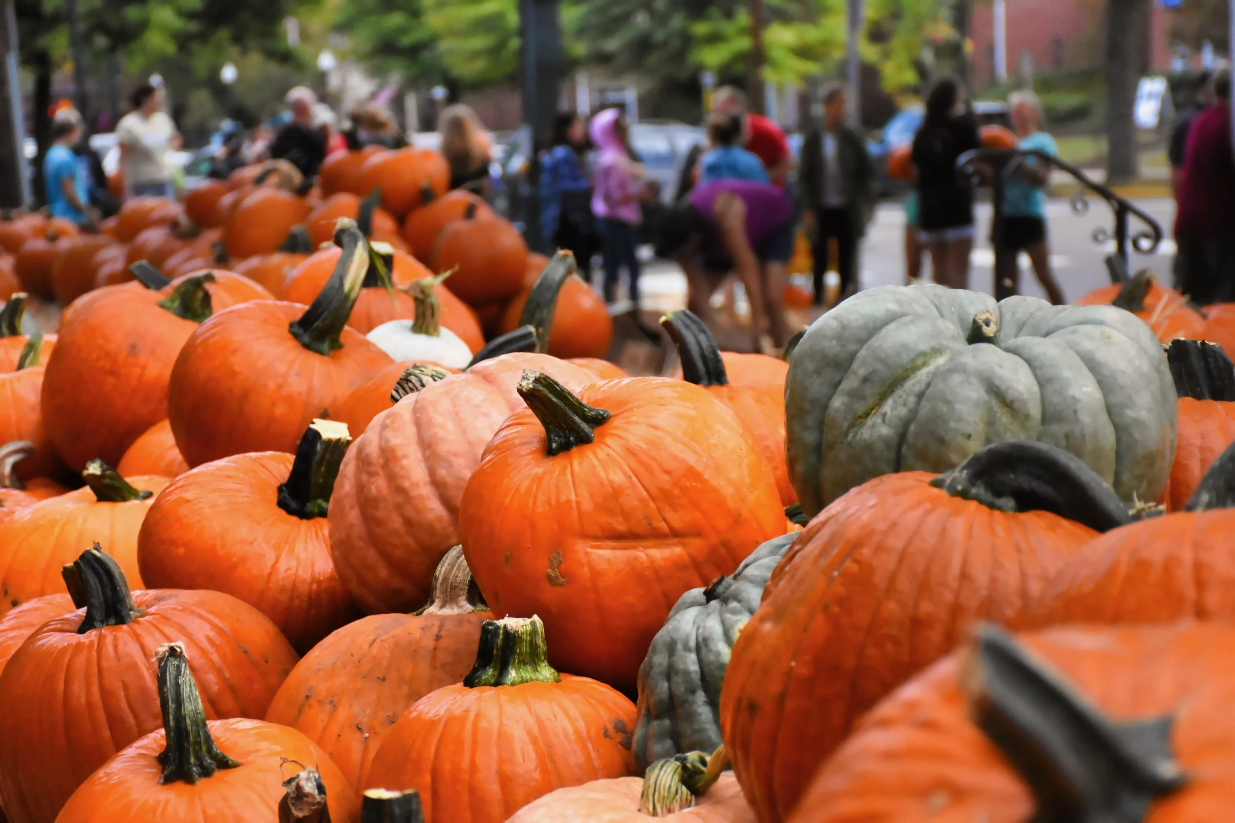 Holy Gourd — Praise the Lord!