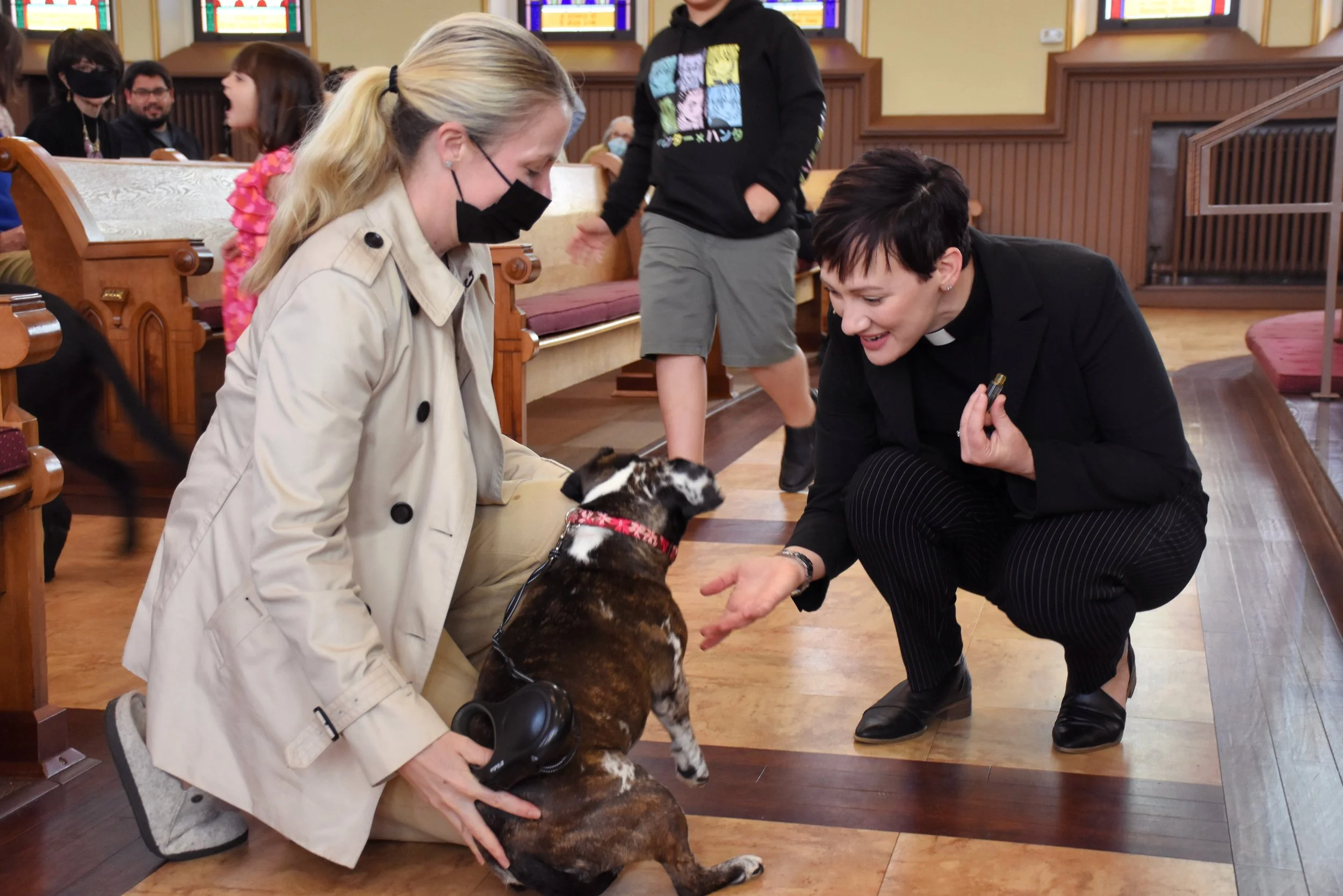 Blessing of the Animals