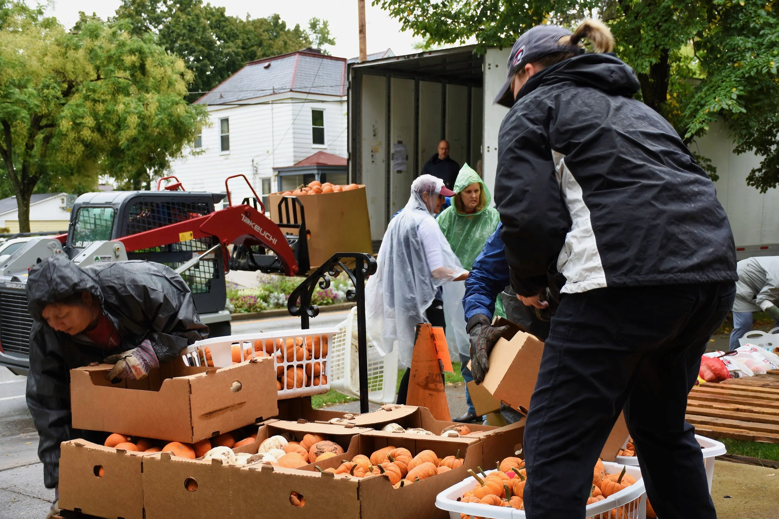 The Pumpkins are Coming!