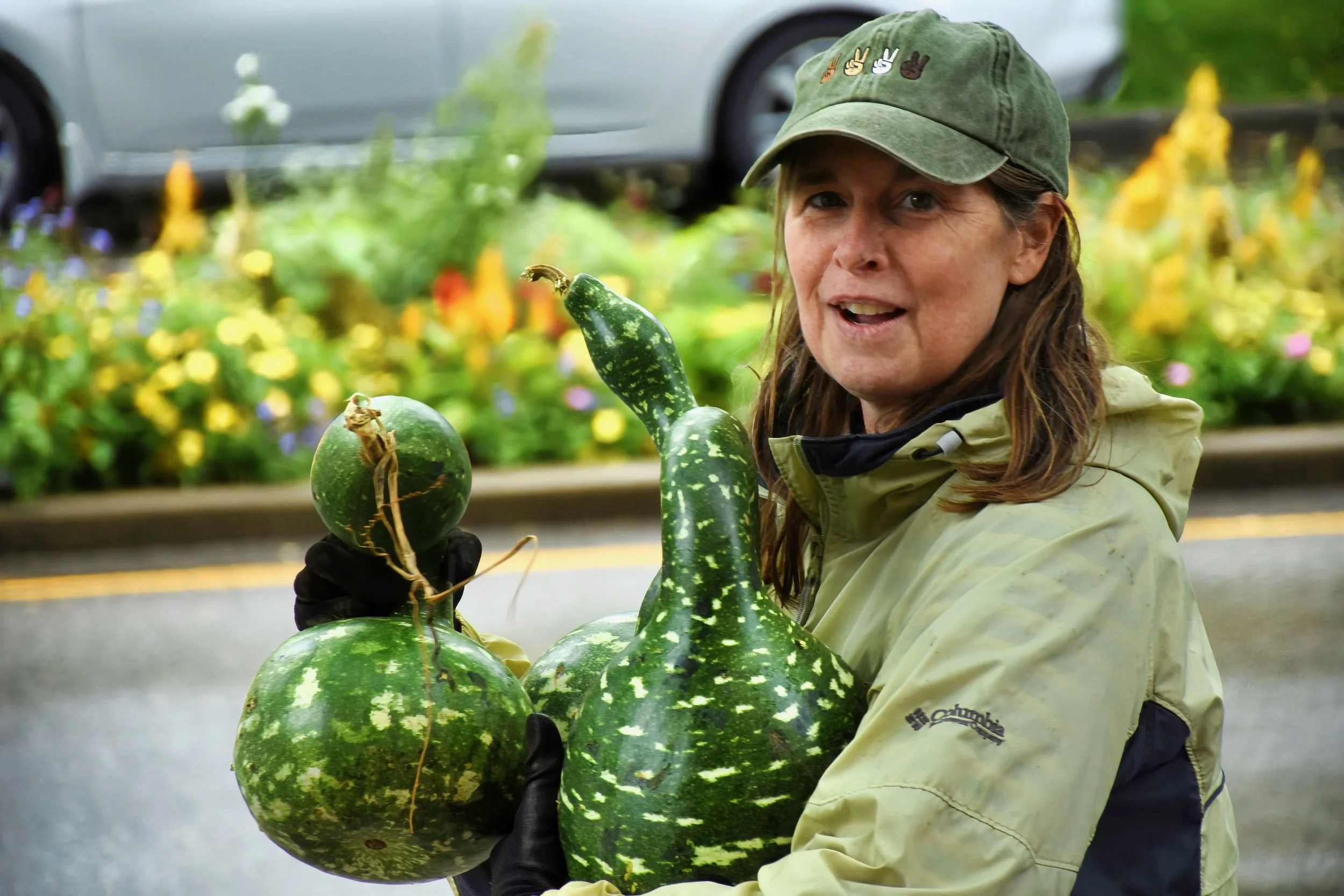  Pumpkin Patch Signups