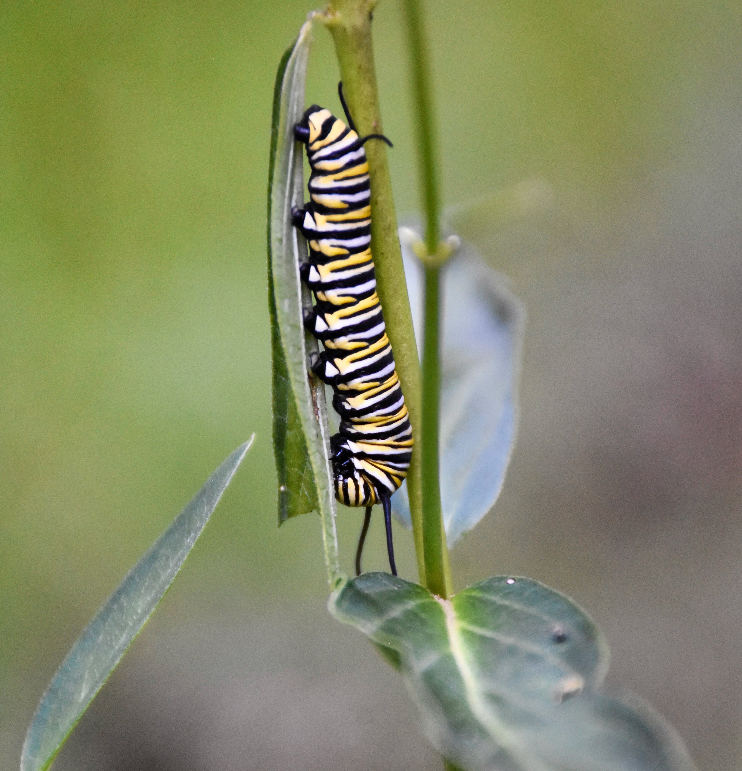 We Serve a God of Second Chances