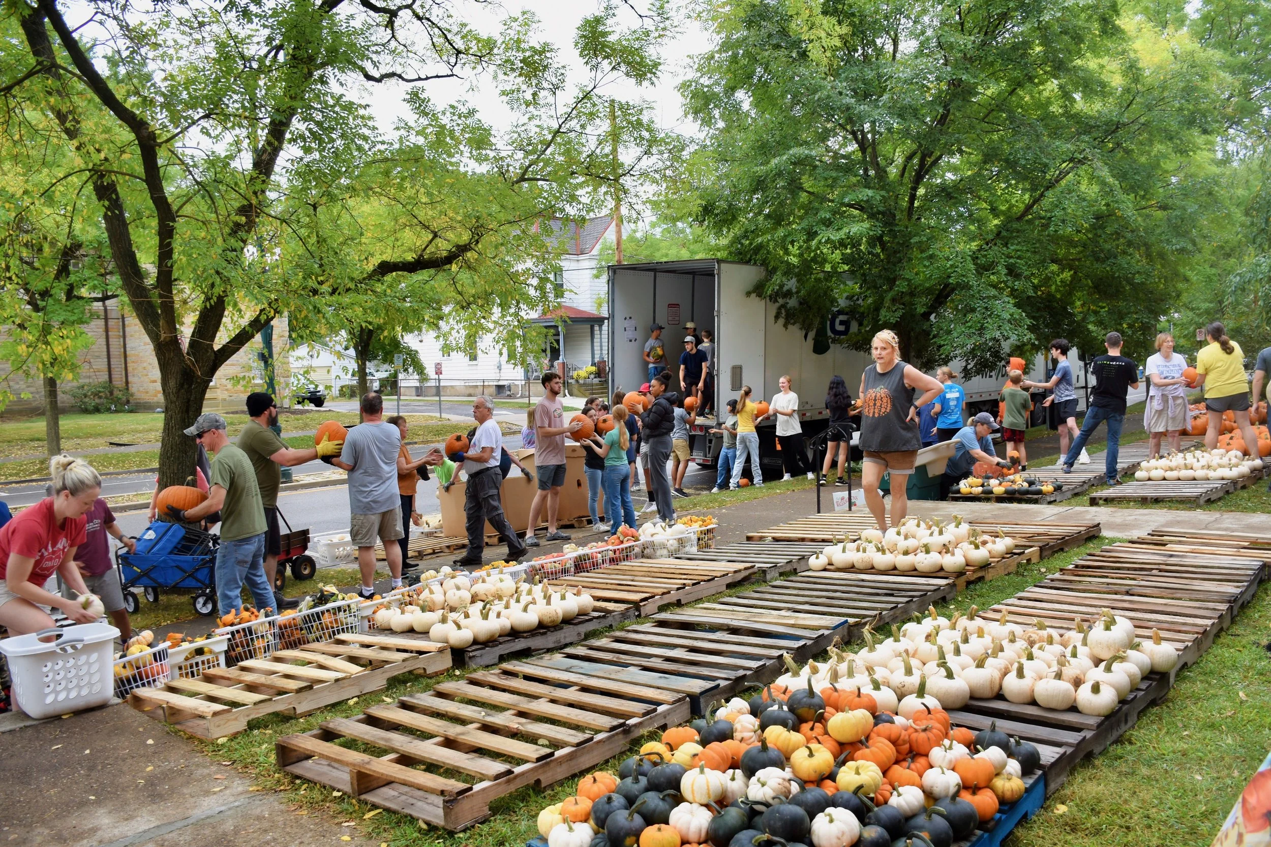 Pallets Before Pumpkins! Help Needed Please!