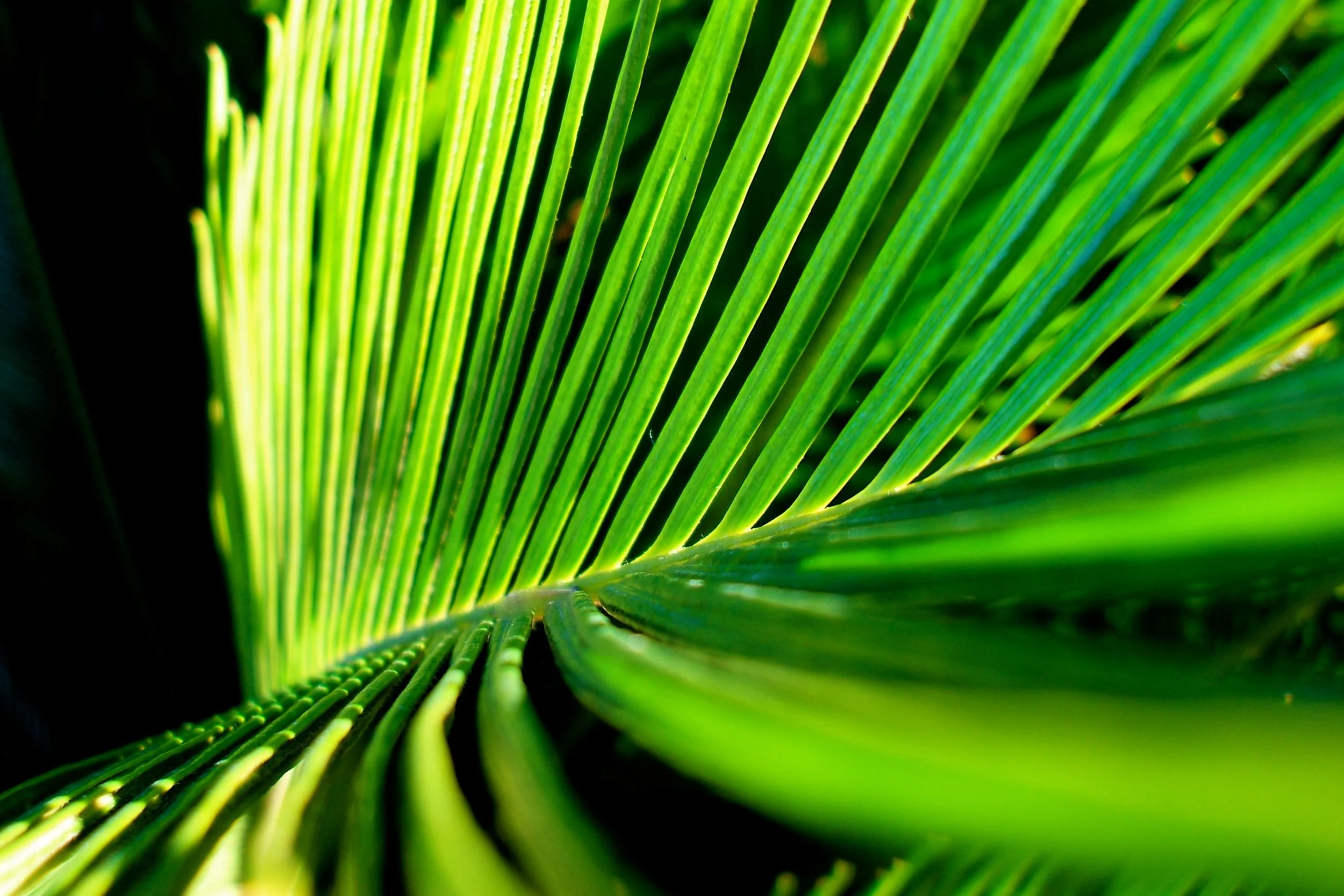 The good news is… inspiring us to act