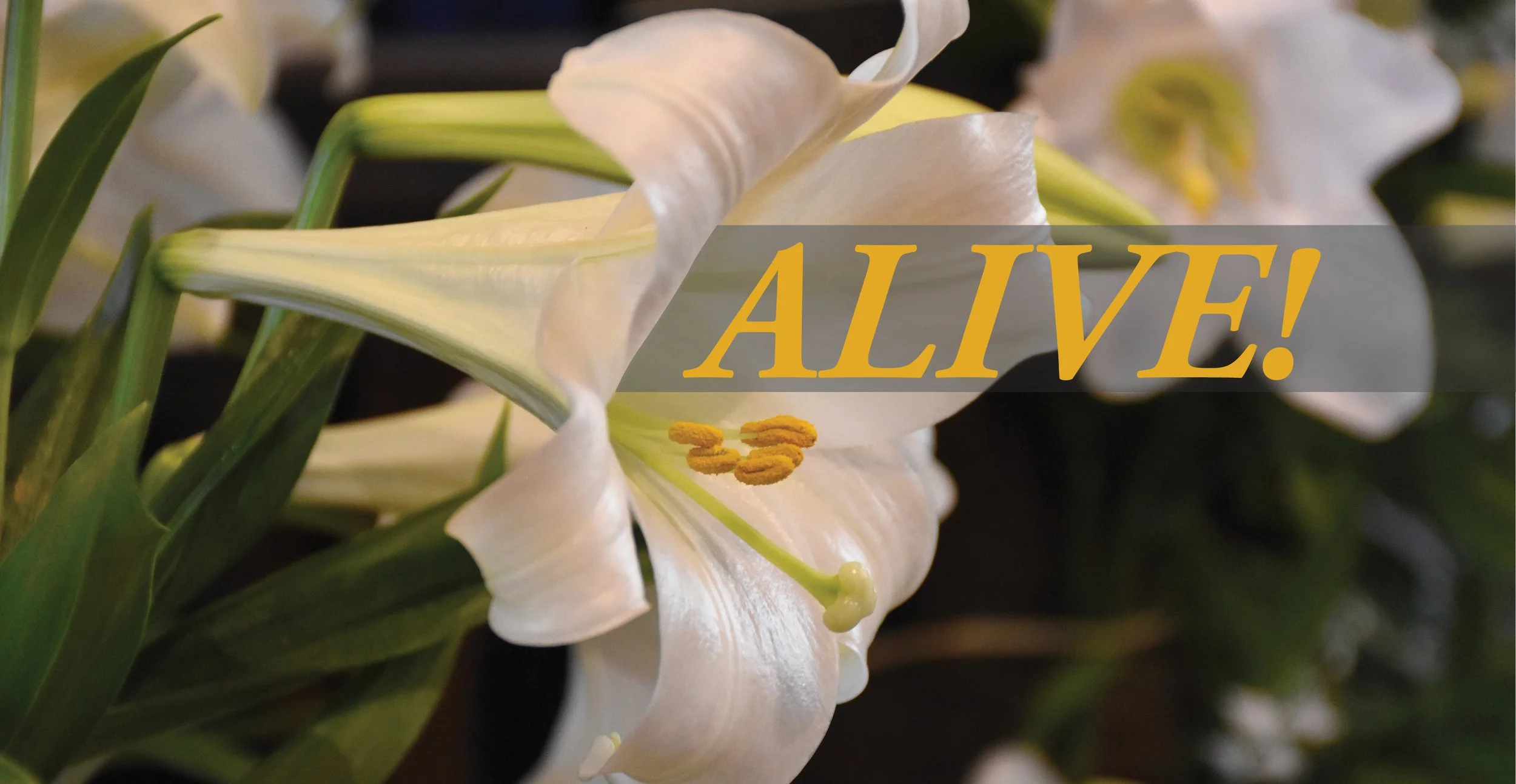 The good news is… alive in the world