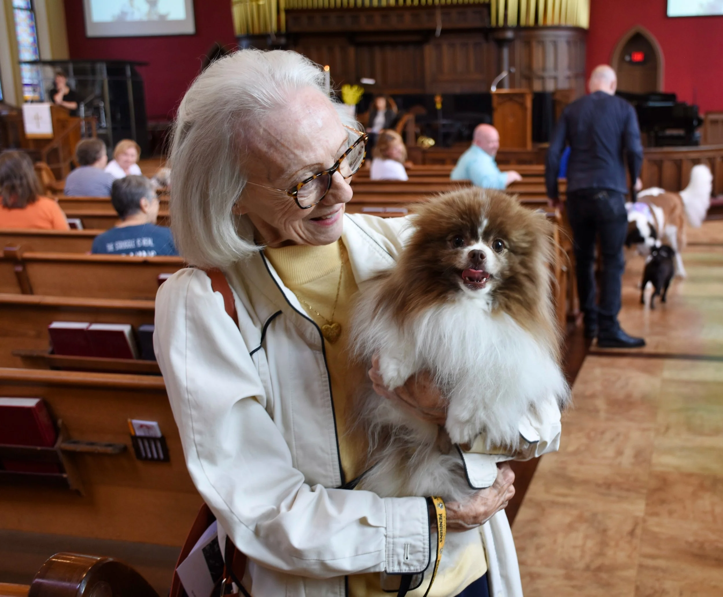 Blessing of the Animals