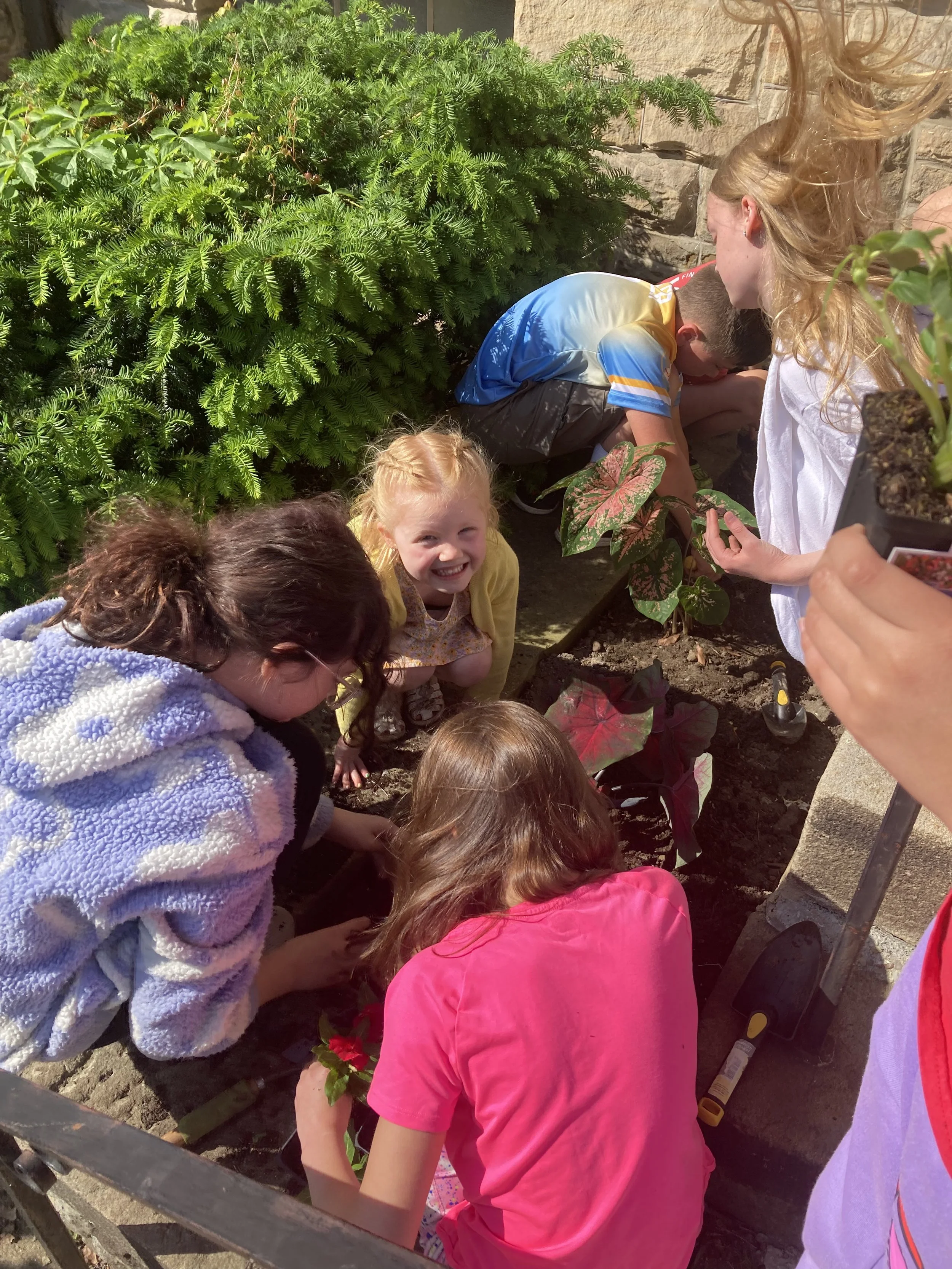 Flower Planting
