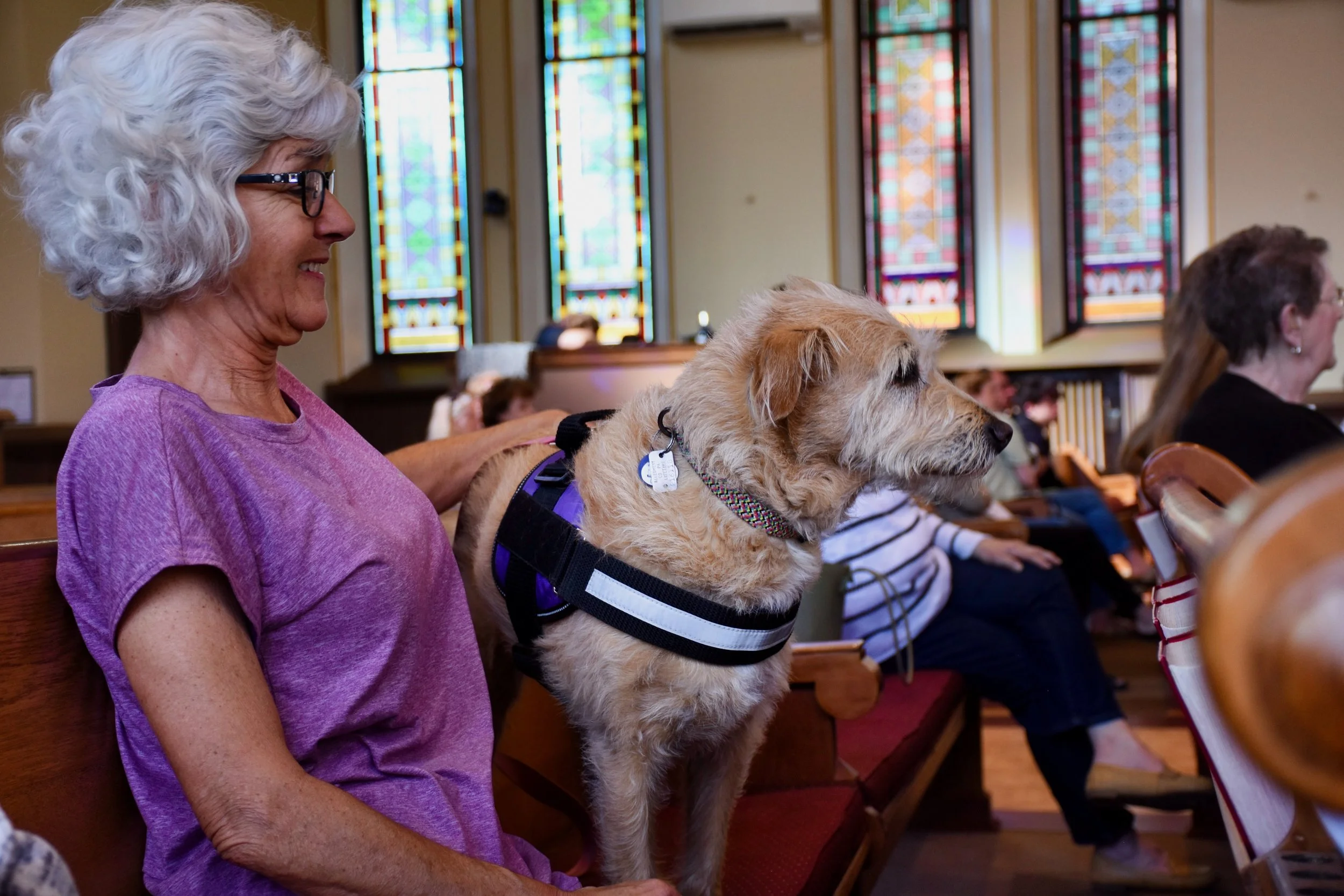 Blessing of the Animals