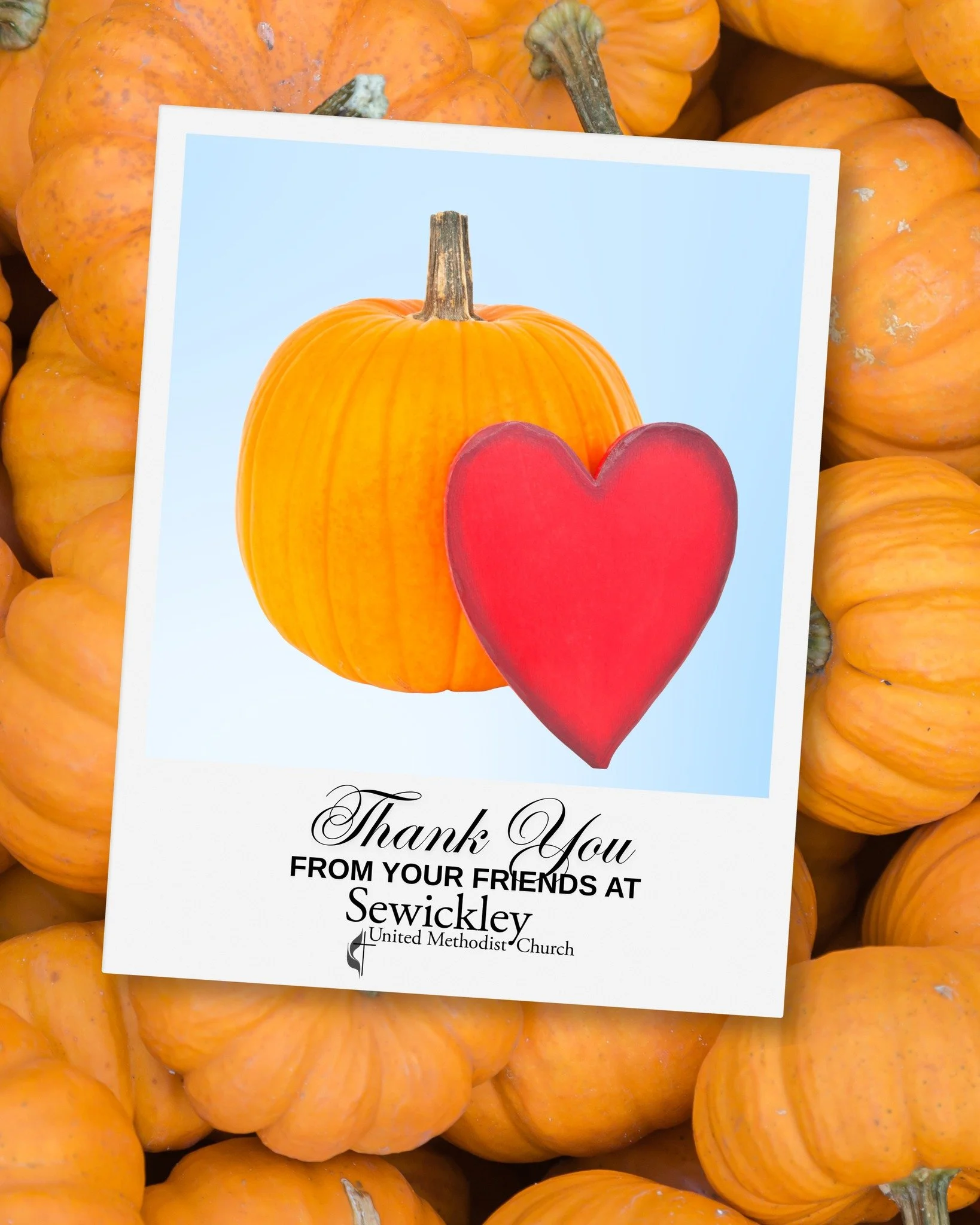 🎃 Thank You for an Incredible Start! 🎃

A massive thank you to everyone who showed up to help us unload our first massive truckload of pumpkins! Thanks to your hard work, our front lawn at Broad and Thorn Streets is officially transformed into a ro