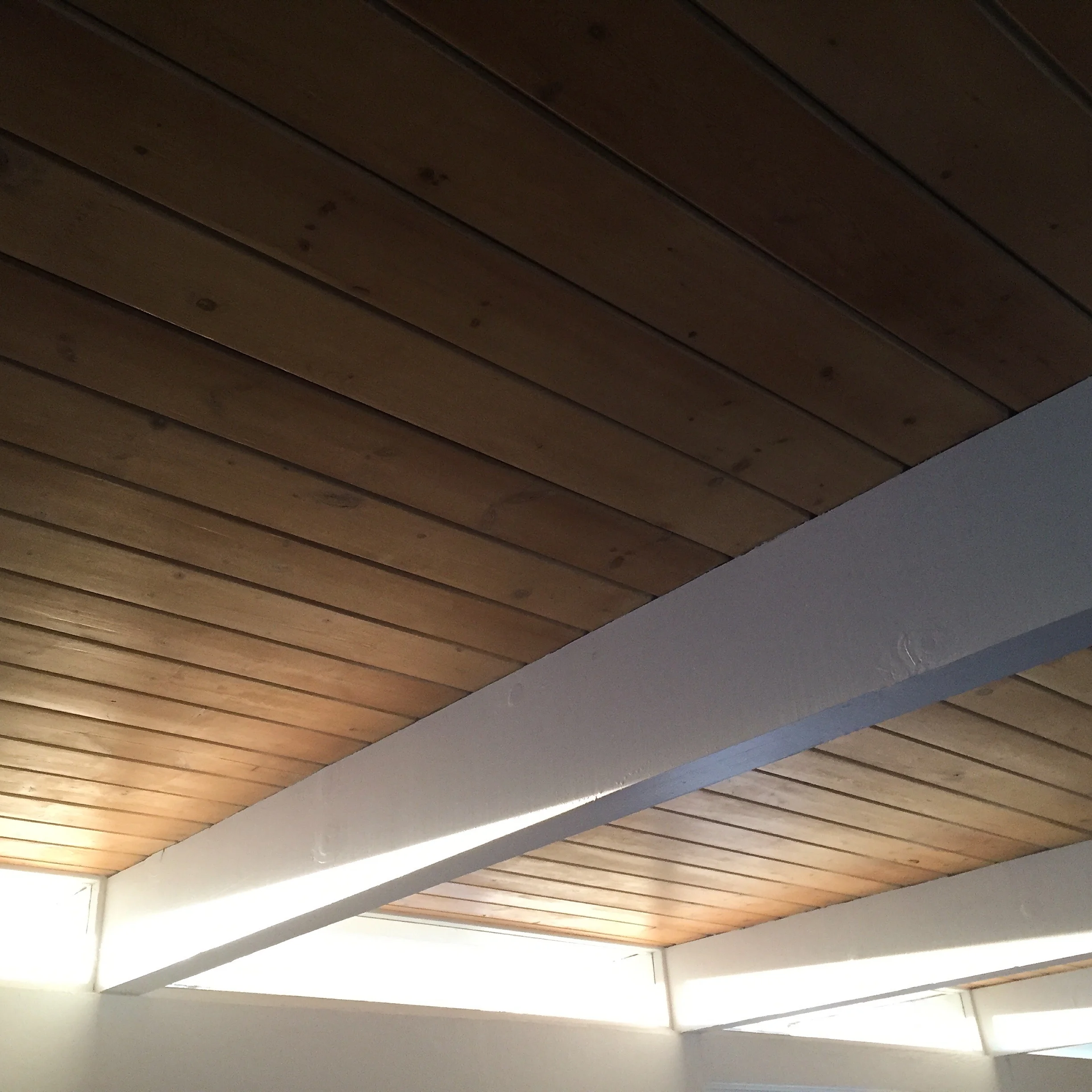 Den Ceiling.jpg