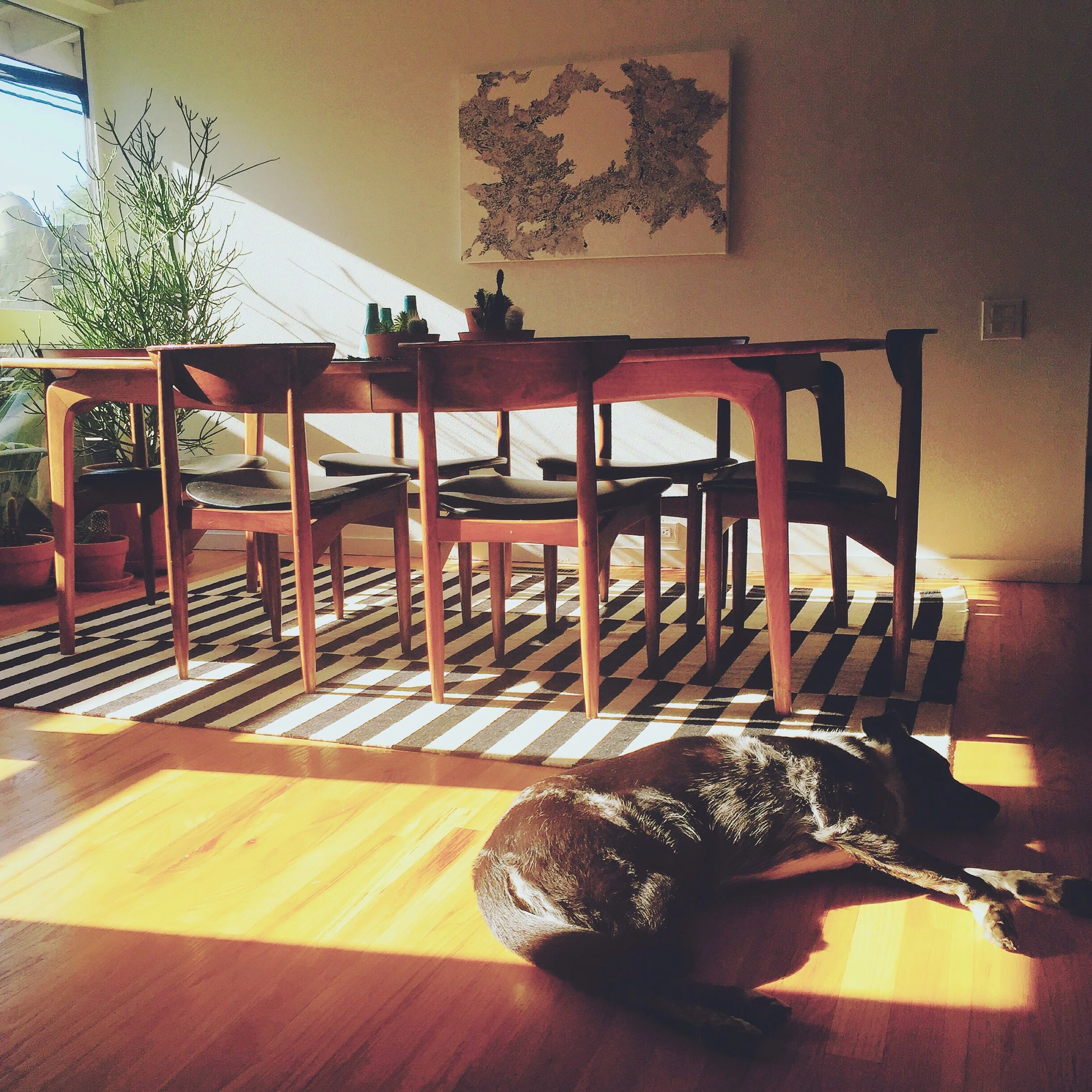 Dining Room with Sidney.jpg