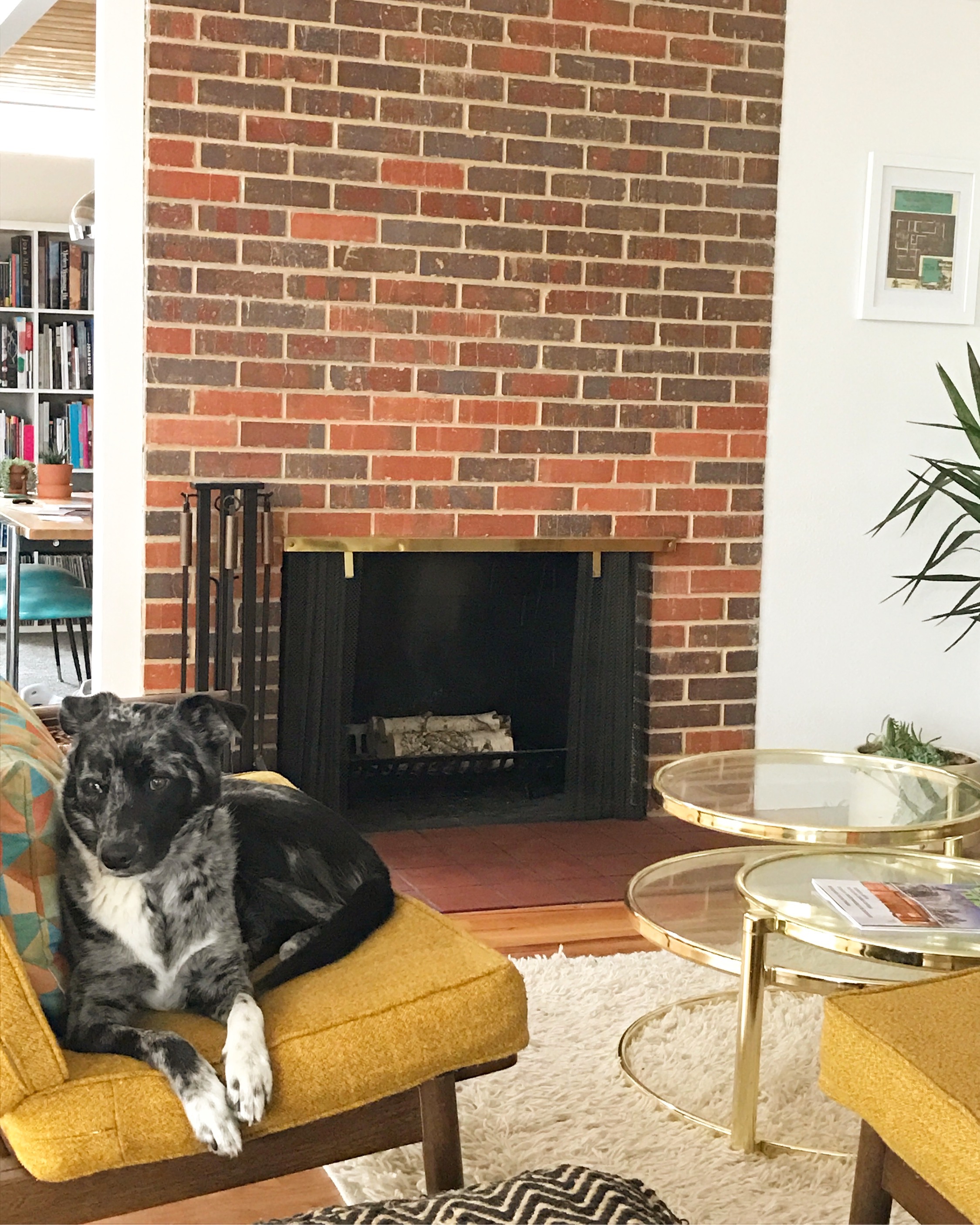 Fireplace with Sidney.jpg