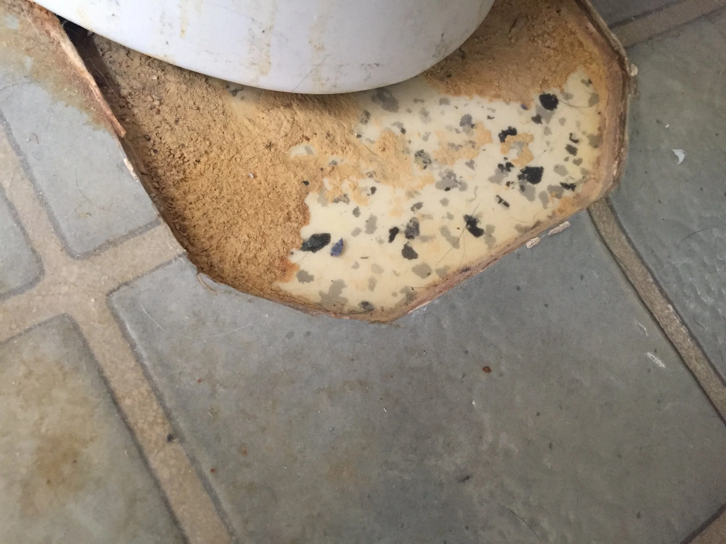 The original floor underneath the blue linoleum. It was made to look like terrazzo.