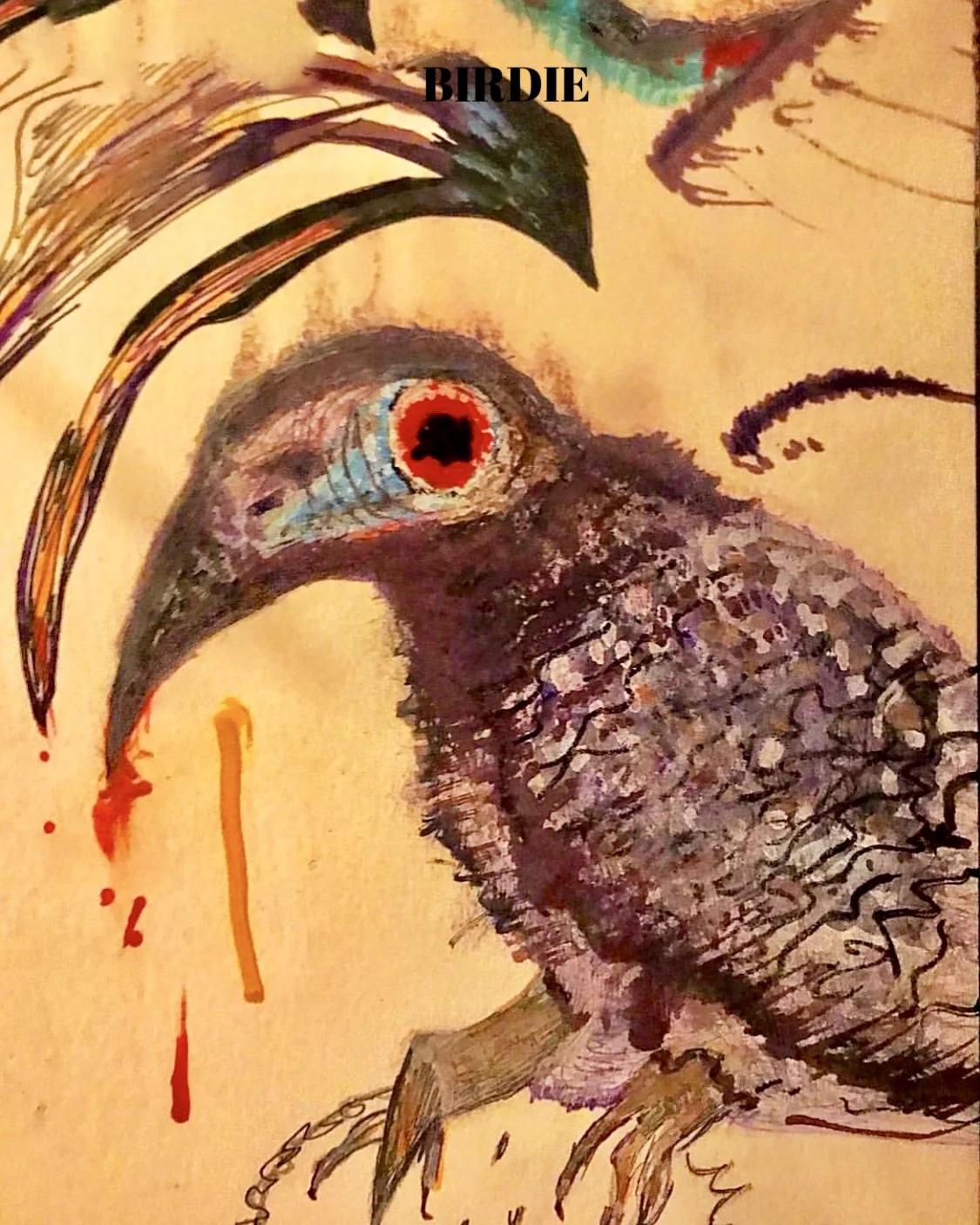 WHAT YOU UP TO BIRD.jpg