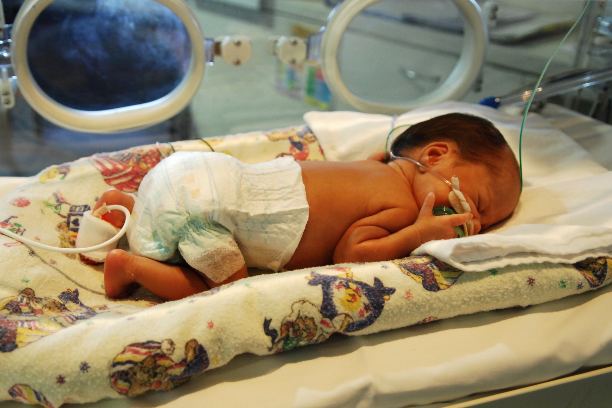 Understanding the needs of your baby