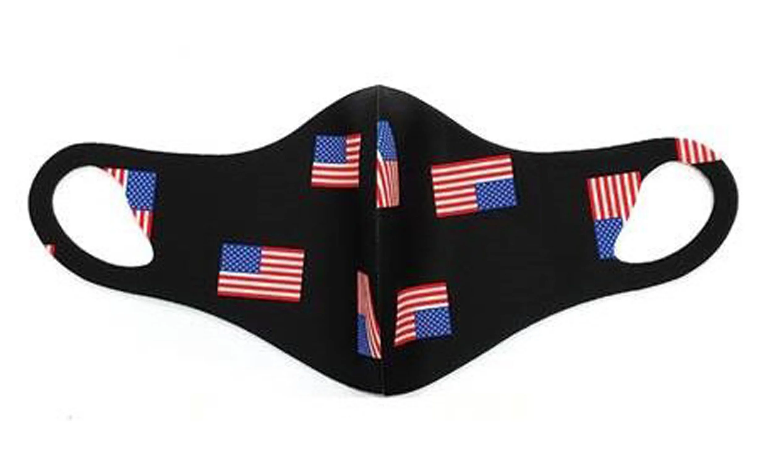 10_Patriot Flag.jpg
