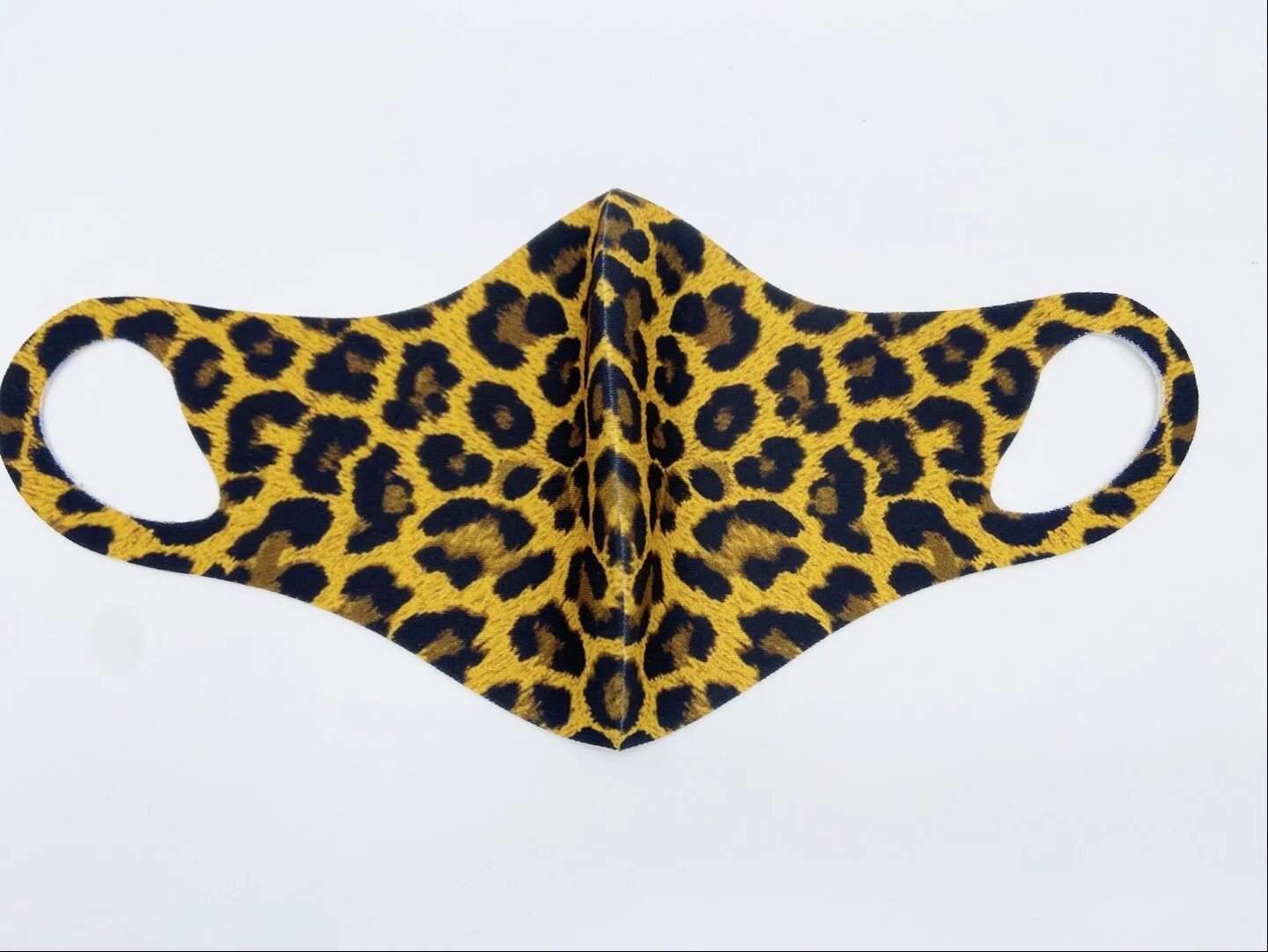 Leopard.jpg