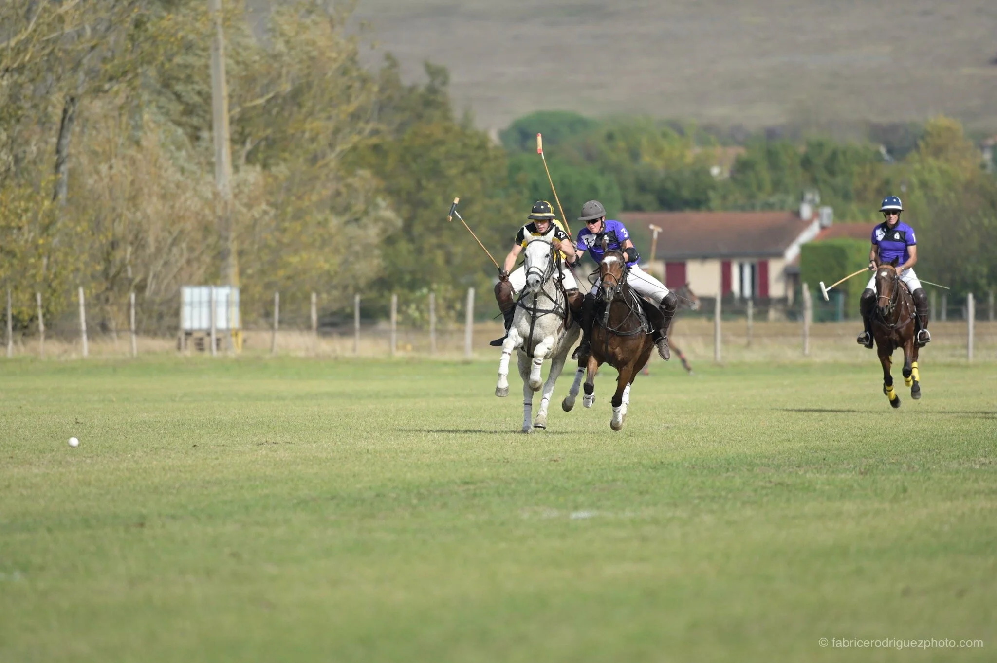 _FAR0112.JPG