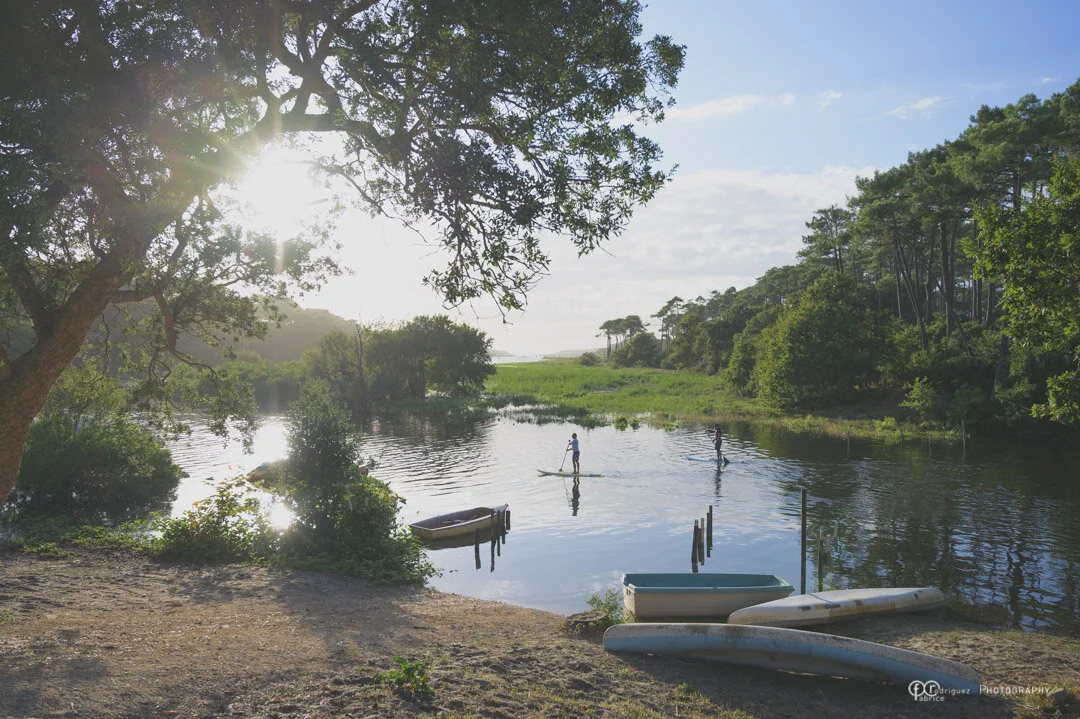 Paddle sur le courant de Contis #Contis #Landes #Paddle #River #beforesunset