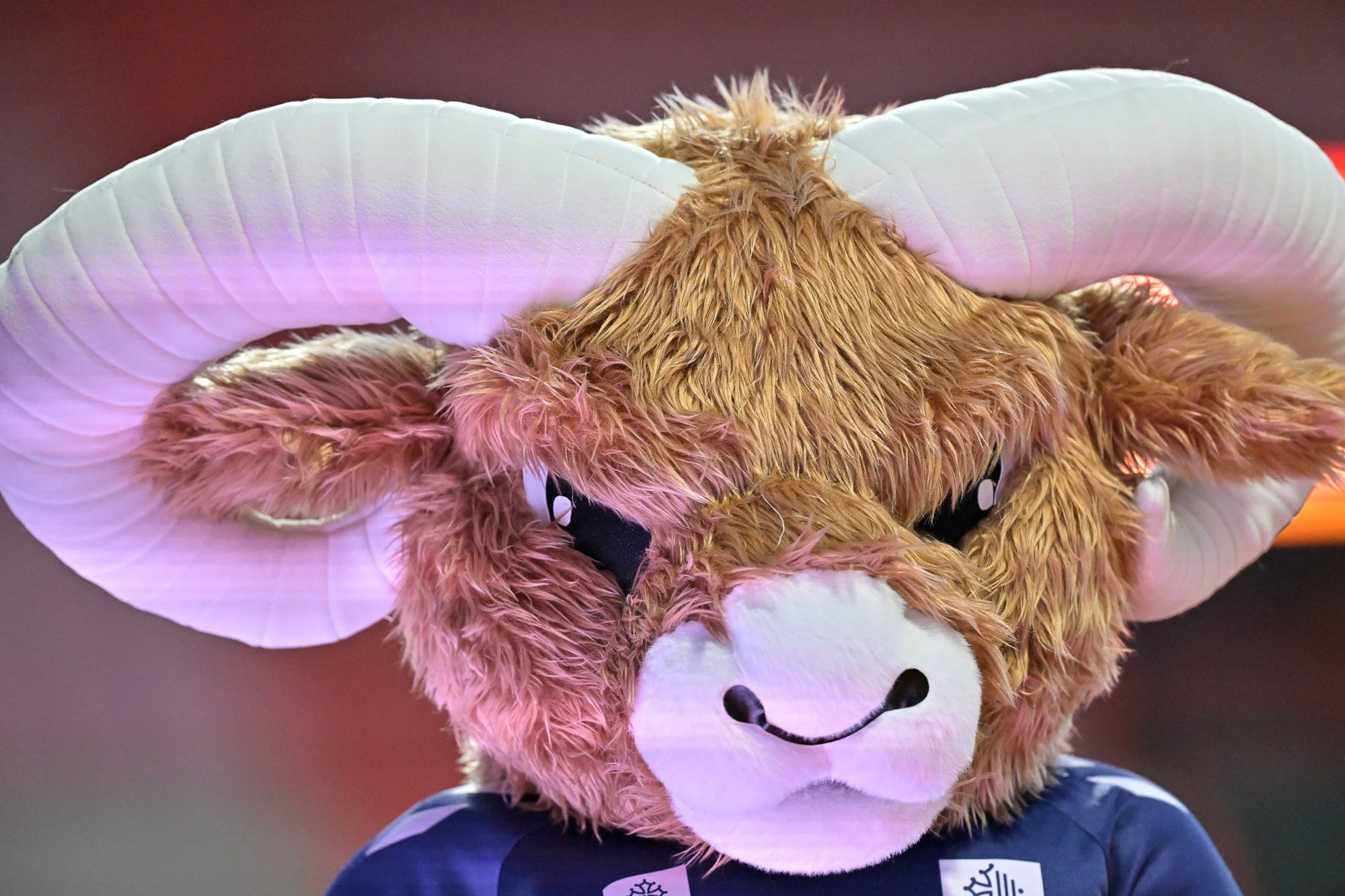 2025 Toulouse Olympique XIII vs St Helens - Rd5 36.jpg