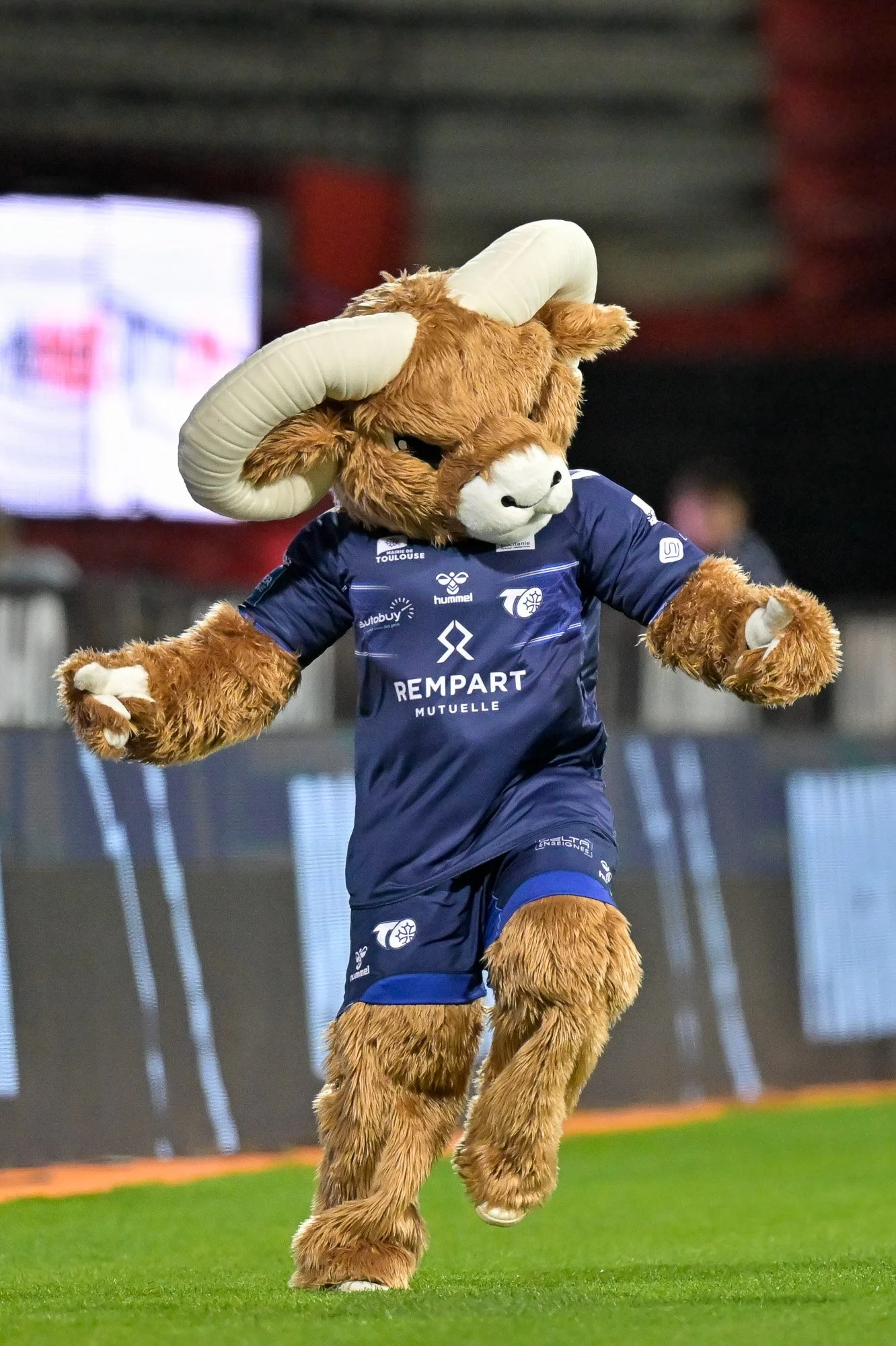 2025 Toulouse Olympique XIII vs St Helens - Rd5 146.jpg