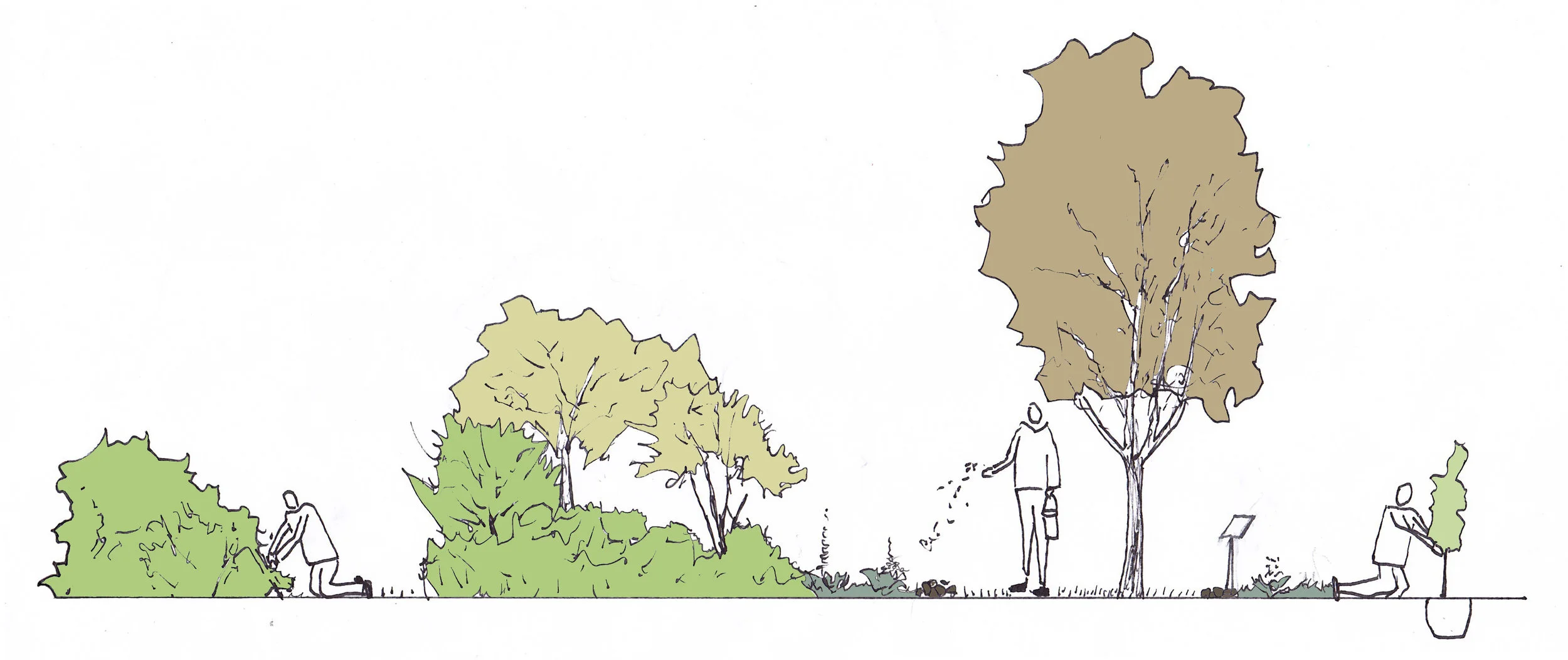 BEAUMONT_Gestion_02_Automne2016-v2.jpg