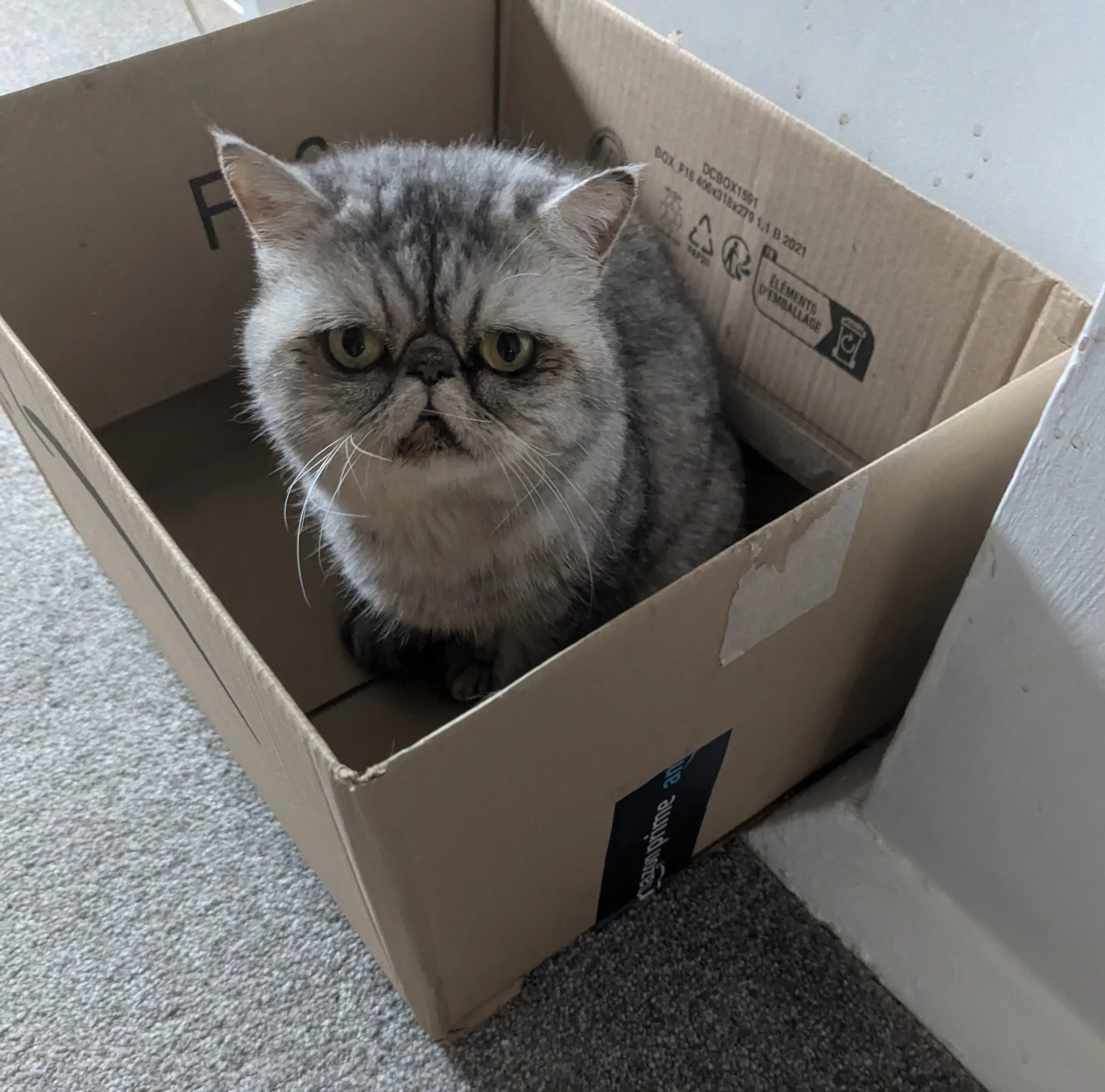 Pancake in box.jpg