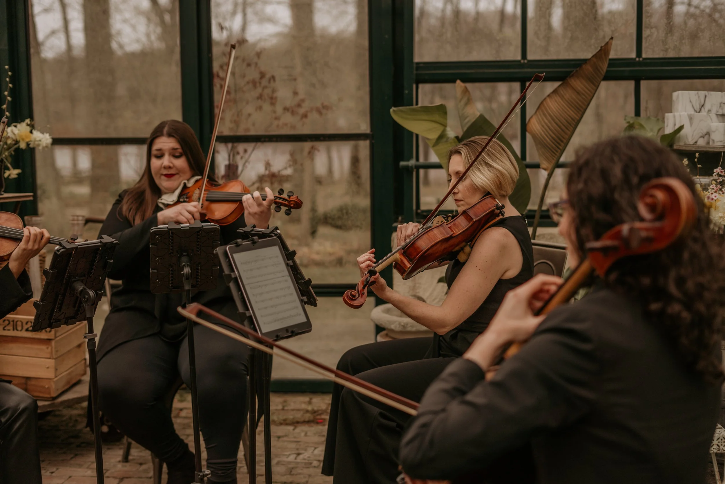 Luminous Sounds String Quartet performing at Luxury wedding reception on the north fork of Long Island