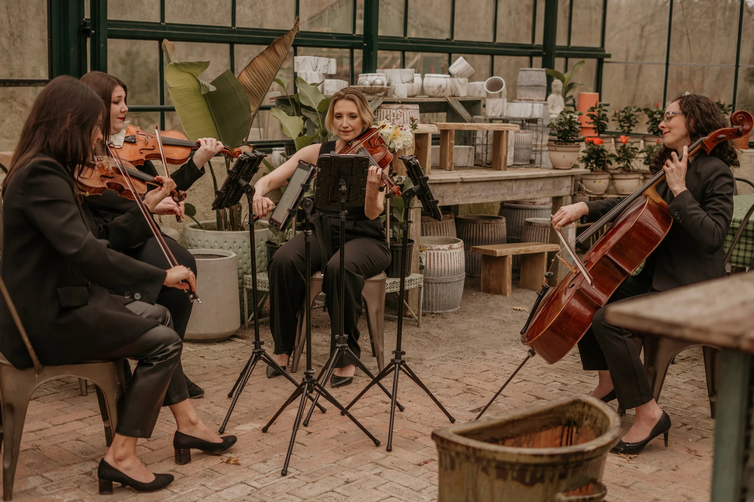 Luminous Sounds String Quartet performing at the Peconic River Herb Farm