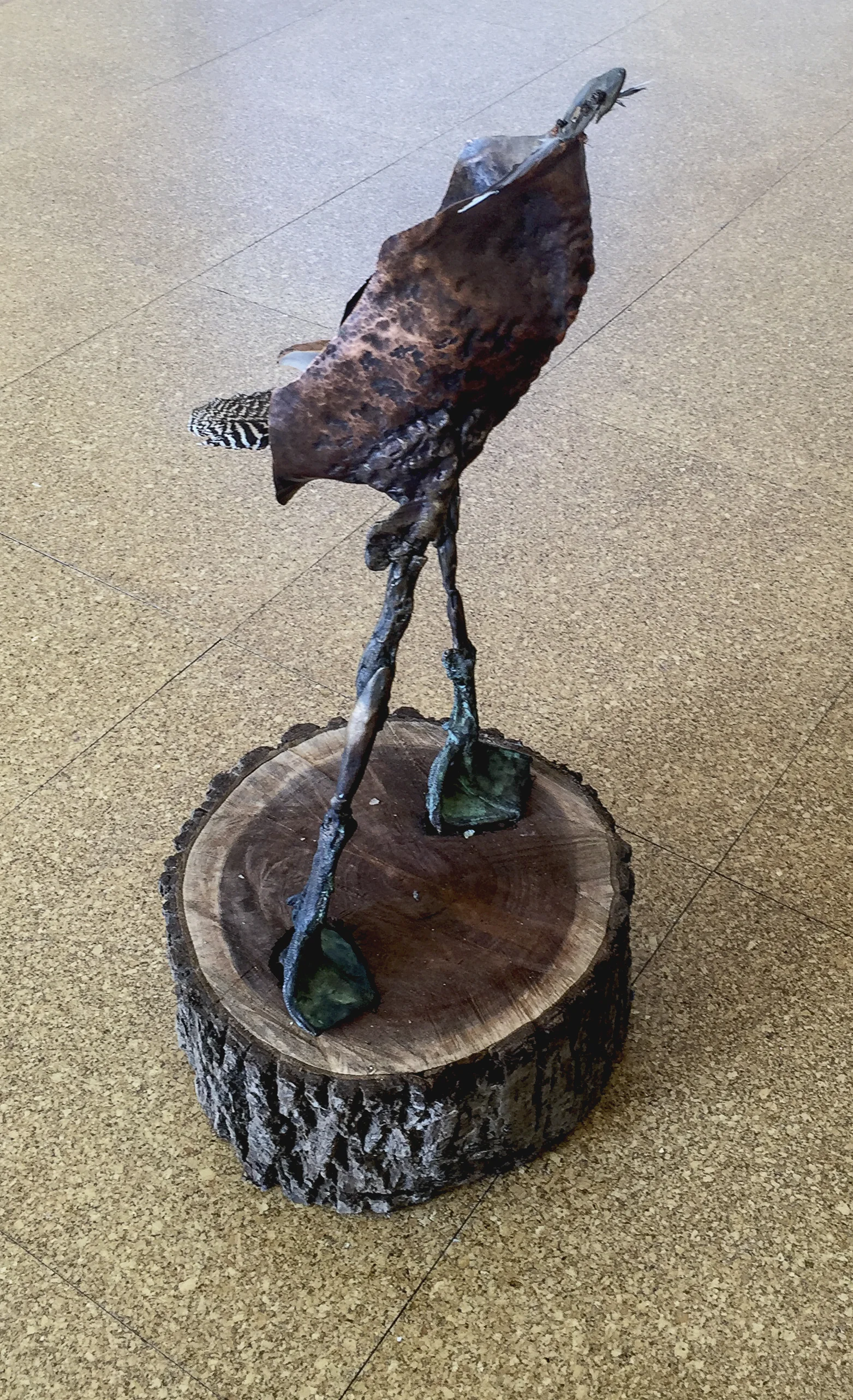 bird.jpg