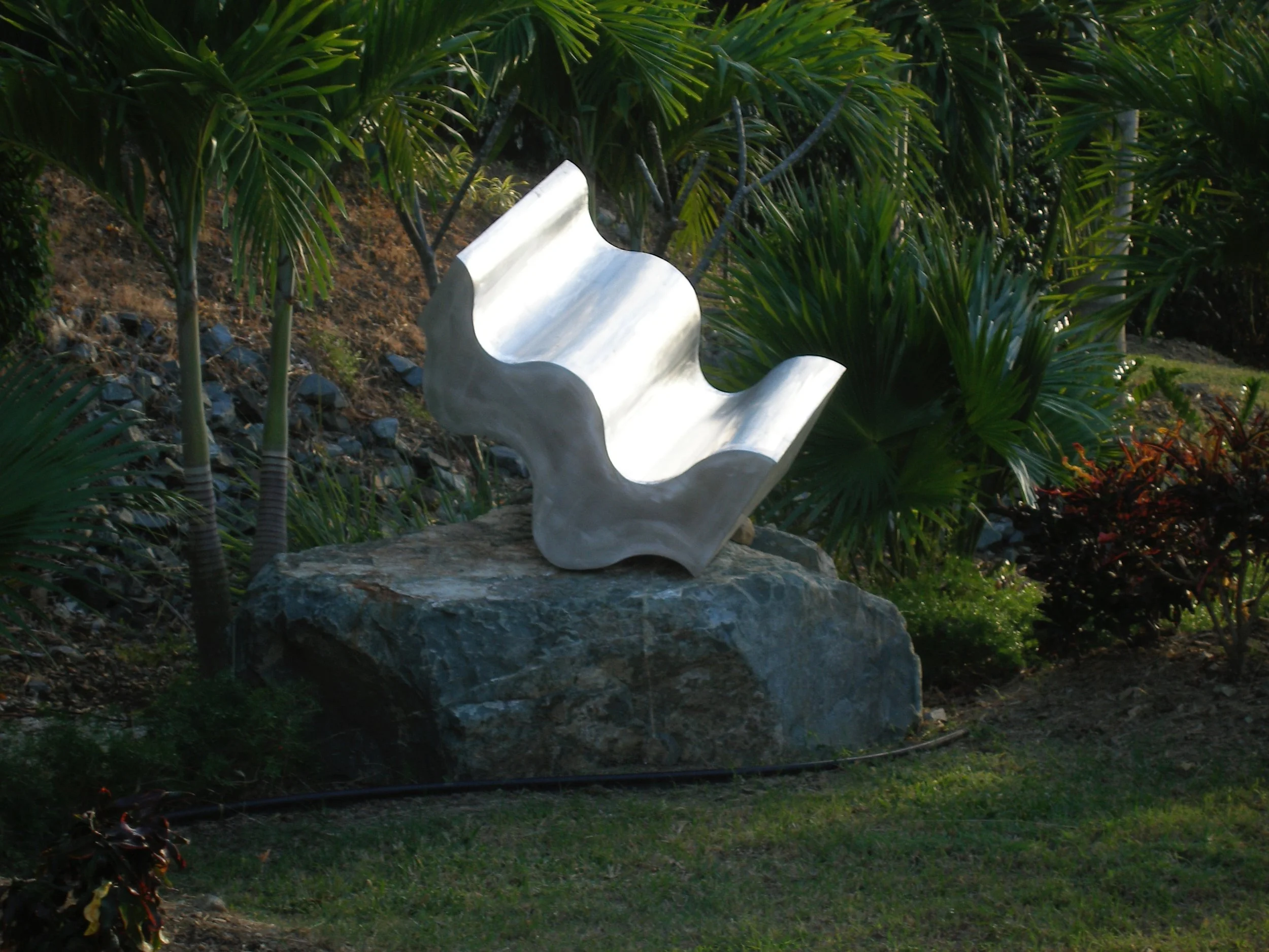 P1010016.jpg