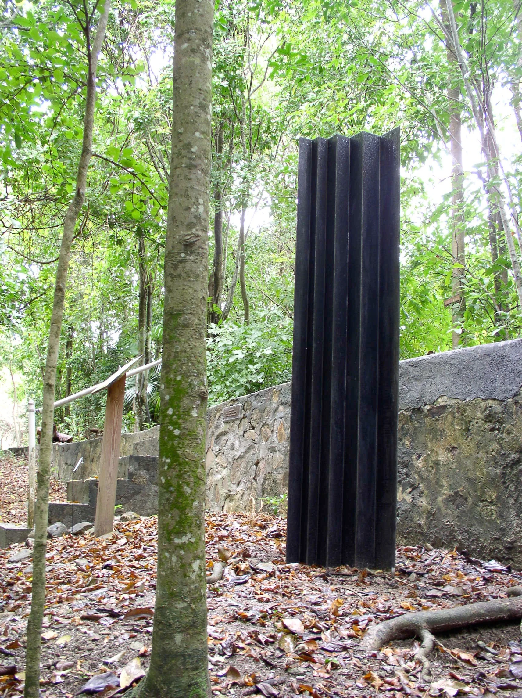 P1010102-1.jpg