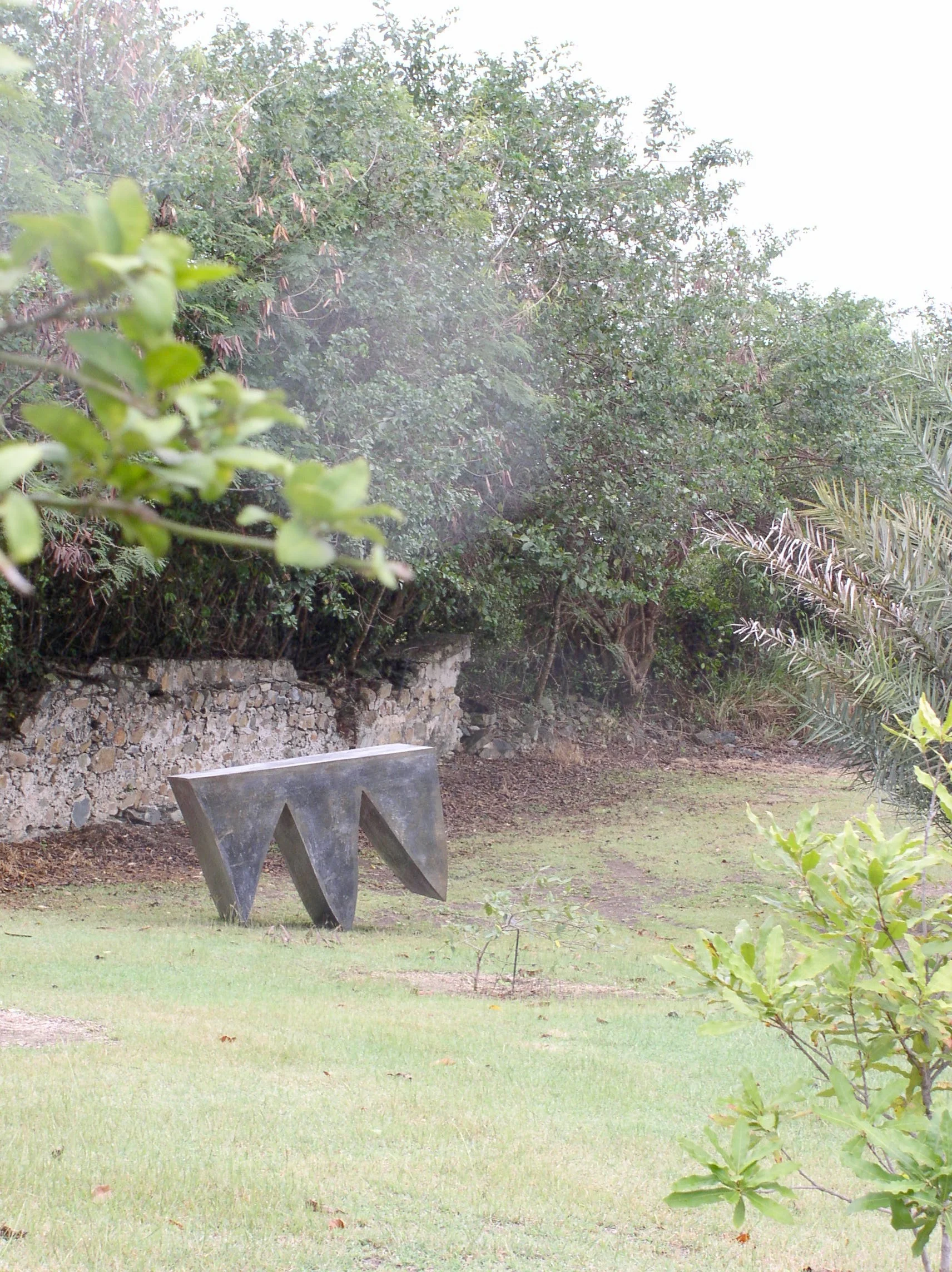 P1010071-1.jpg