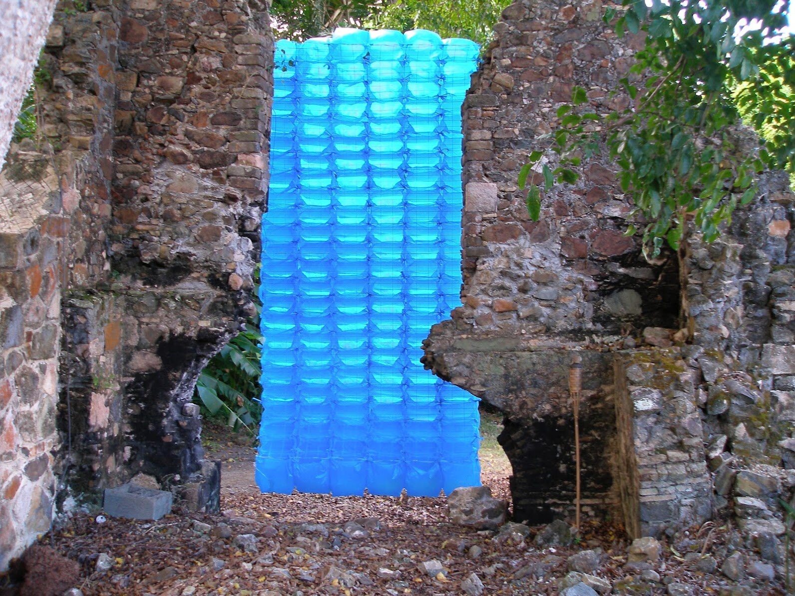 12750092.jpg