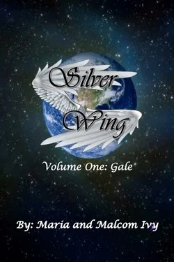 Silver Wing Cover.jpg
