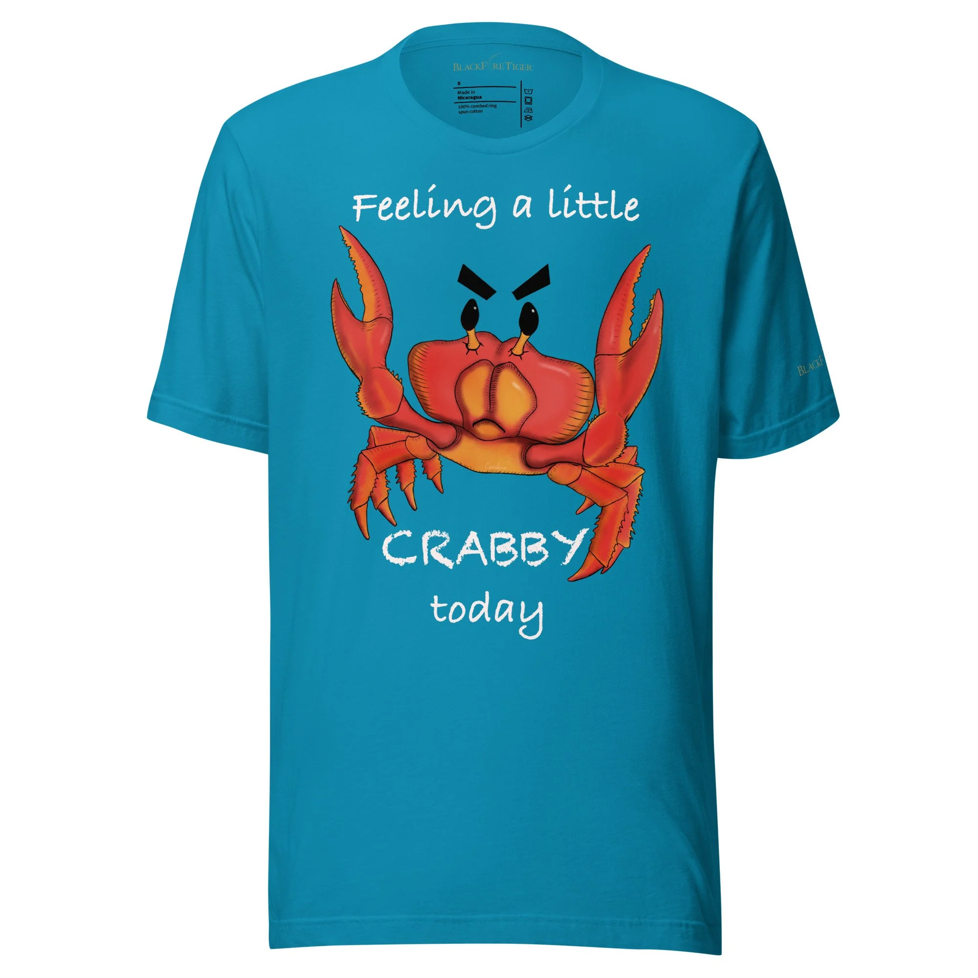 unisex-staple-t-shirt-aqua-front-6938bb650688e.jpg