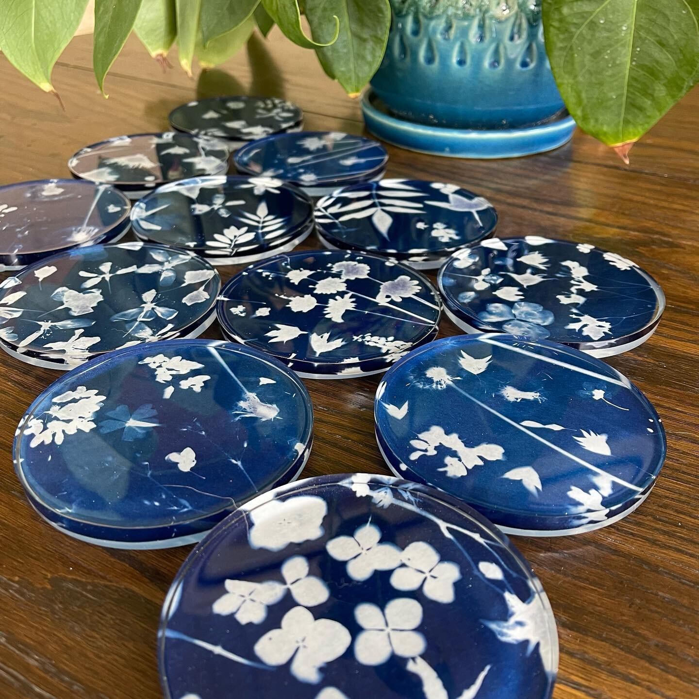 New coasters heading out next week. Find them at @jenniferwoodsjewelry @dnagalleries and my online shop (link in bio). 
.
.
.

#photogram #printmaking #sunprint #jacquardcyanotype #cyanotype #blueandwhite #botanicalart #flowers #floralart #okc #okcar