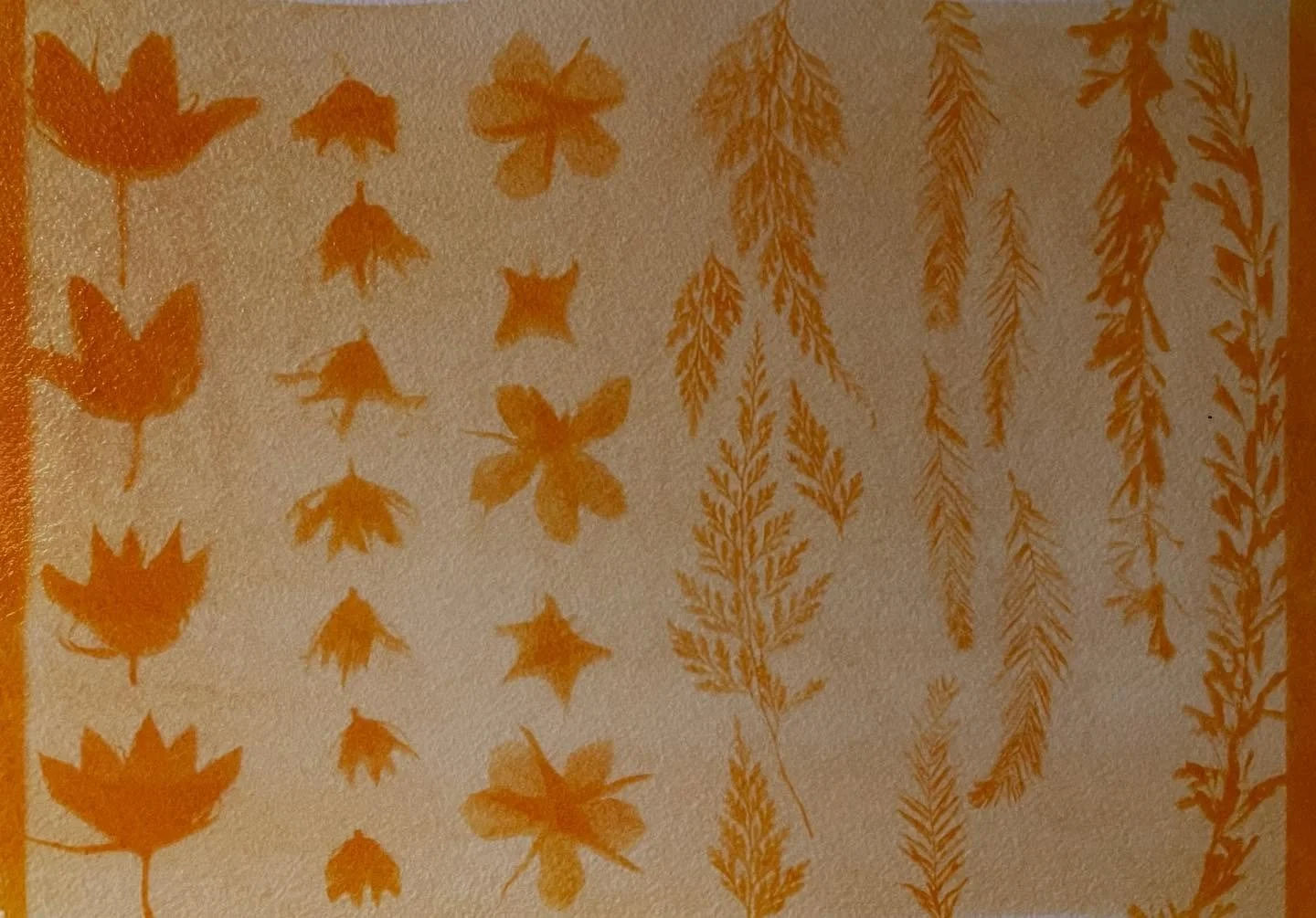 More experiments with this new turmeric process. I used baking soda in the development. Swipe to see what it looked like before. 💛🧡