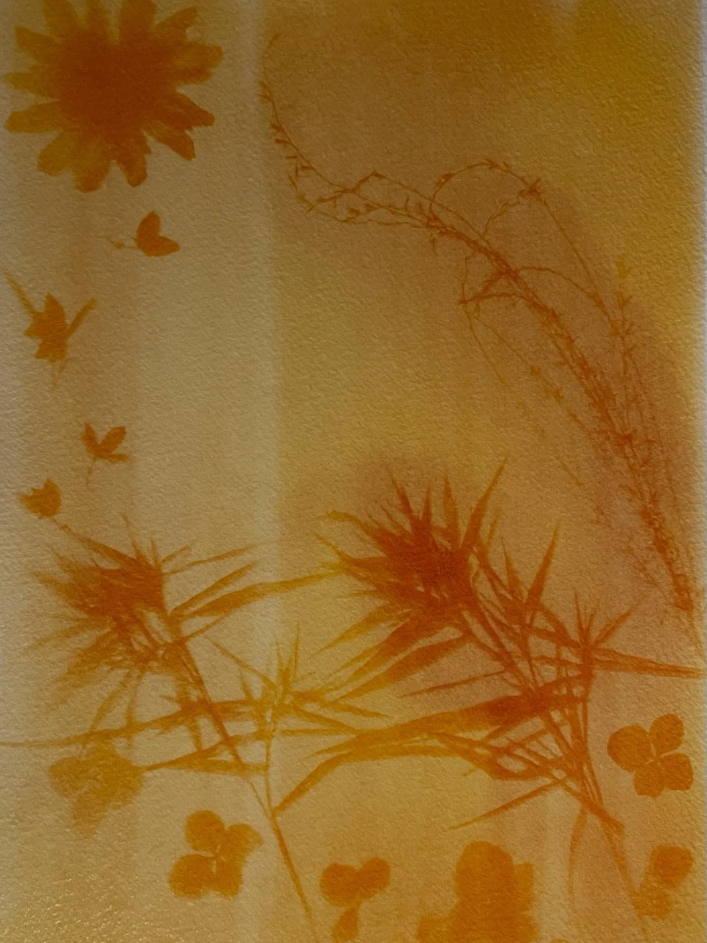 Shifting into soup mode after this one. Turmeric and baking powder with a 2 hour exposure.