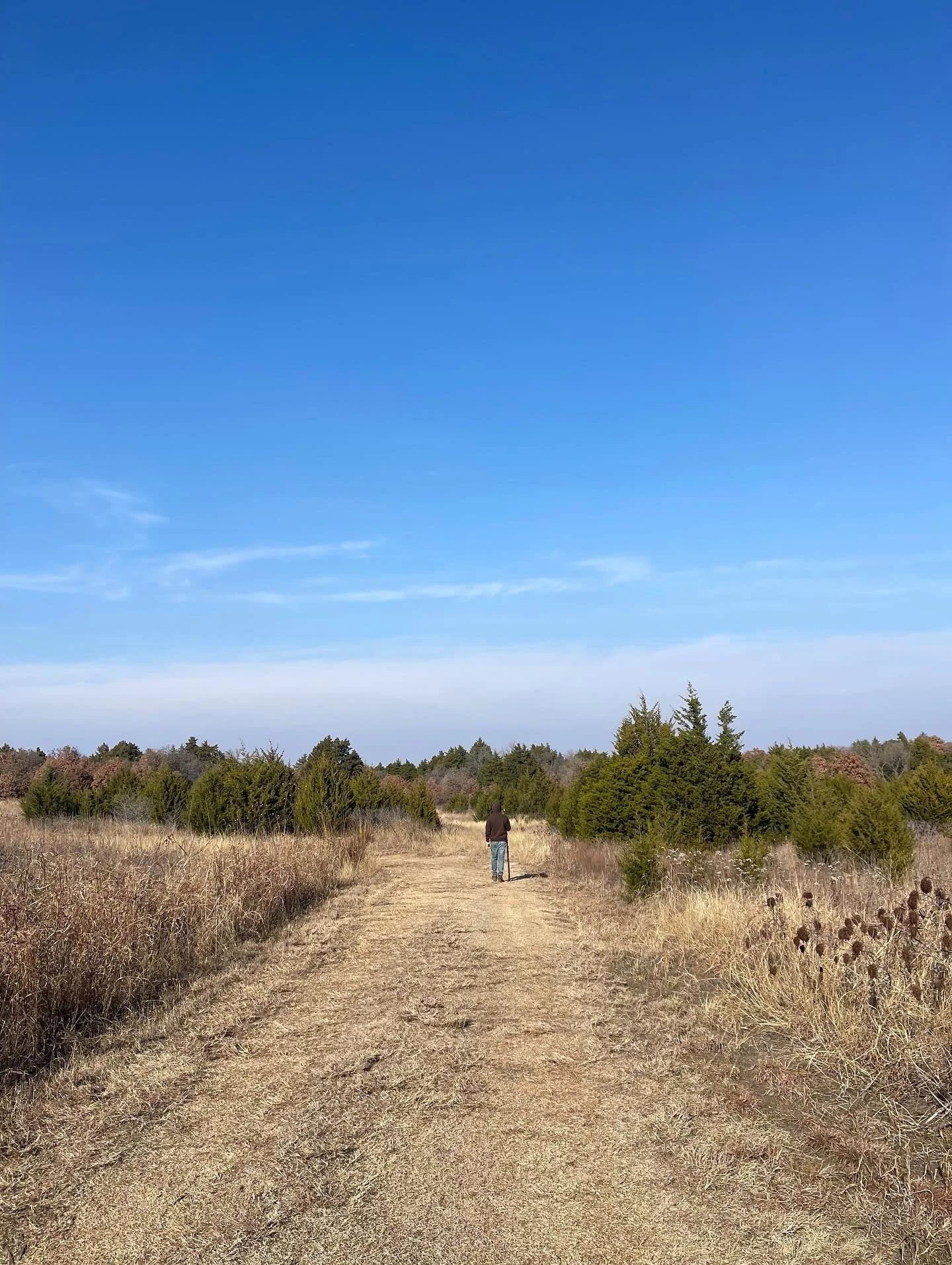 Took a break in the woods this past weekend. 🌲